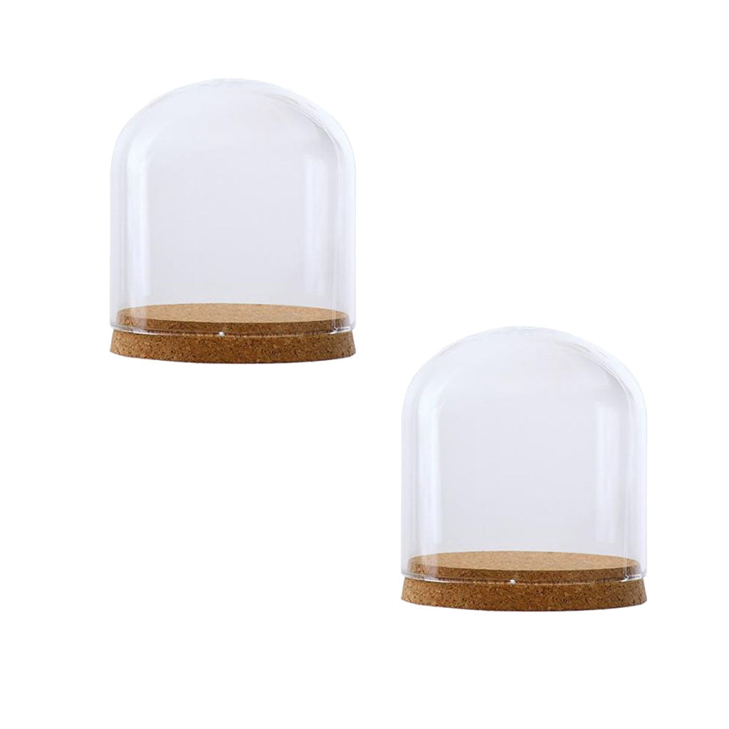 2xClear Glass Cloche Dome Cover Landscape Terrarium Container with Base S