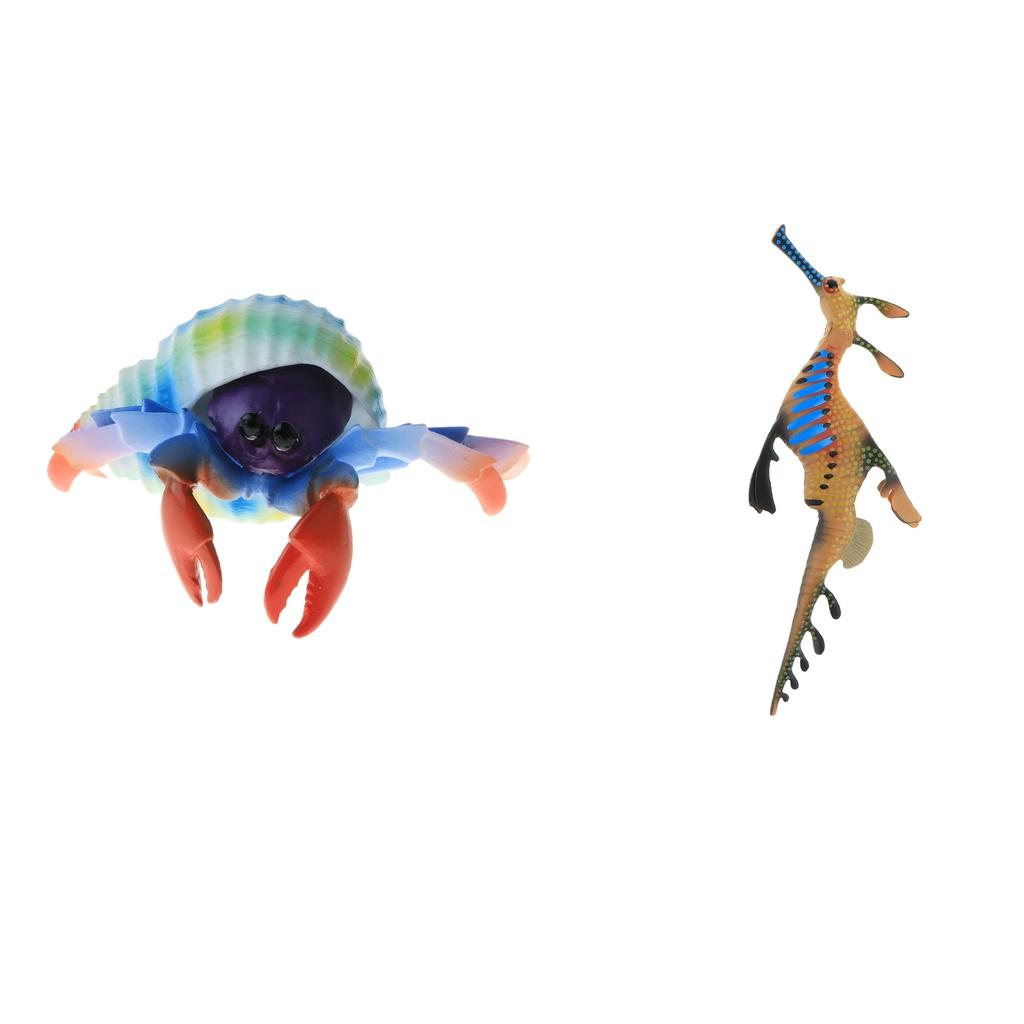 Animal Model Figure Educational Toys Home Decor Hermit Crab Weedy Seadragon