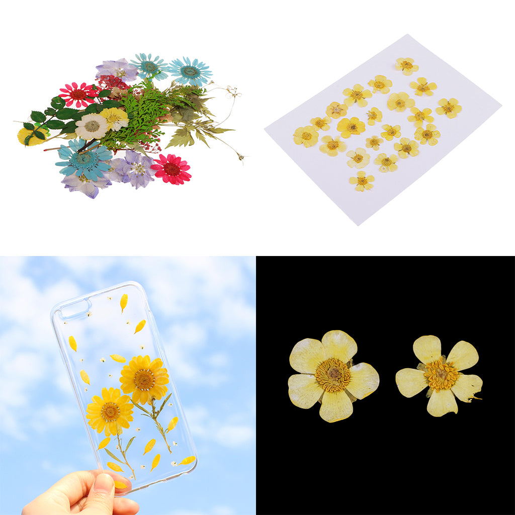 50pcs Mixed Natural Pressed Dried Flowers Leaves Art Craft