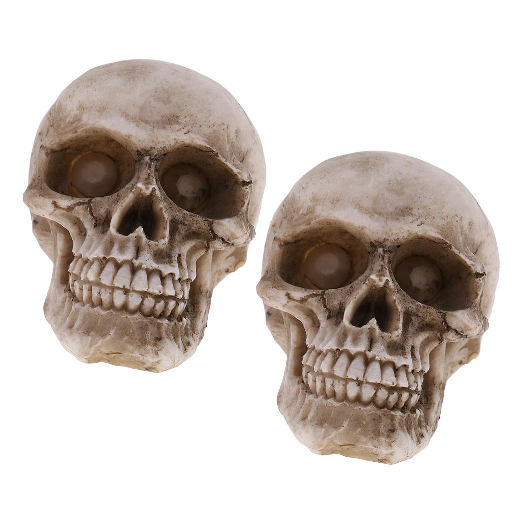 2 Pieces Small Human Head Skeleton Skull Figurines Resin Toy Collectibles