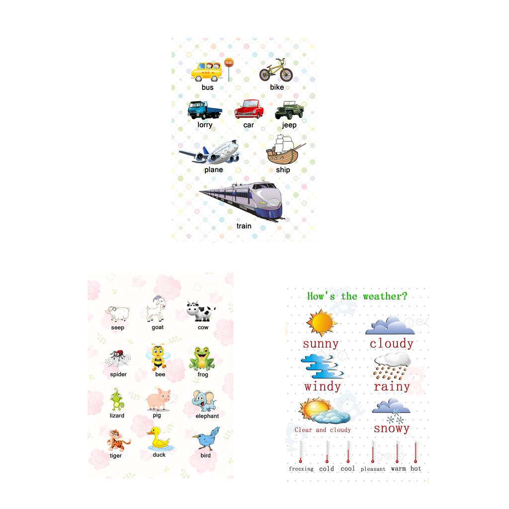 3Pcs Kids Baby Learning Poster Preschool Educational Posters