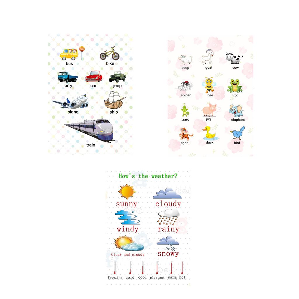 3Pcs Kids Baby Learning Poster Preschool Educational Posters