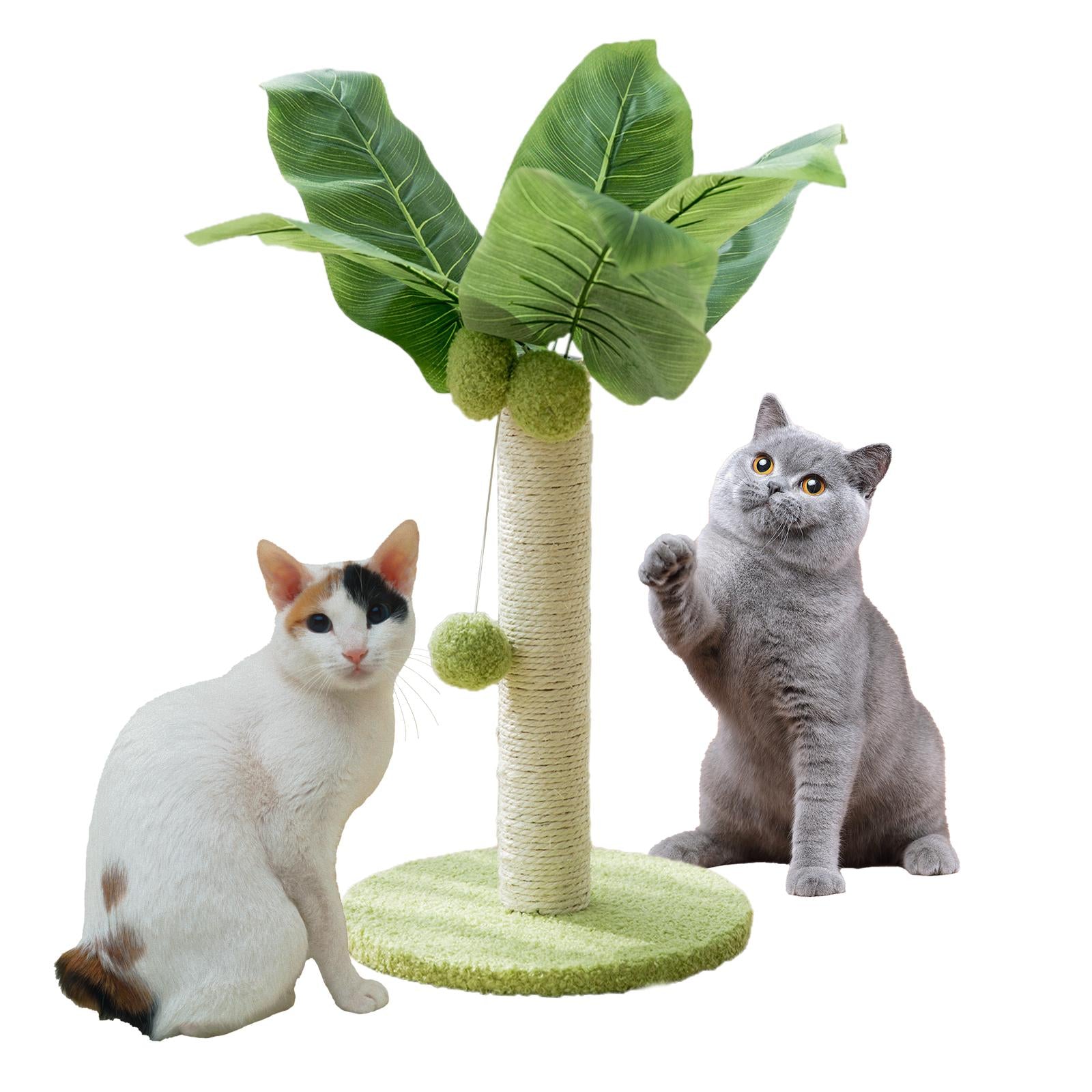 Cat scratching posts Cat Interactive Toy Cat Collar with Bell Necklace