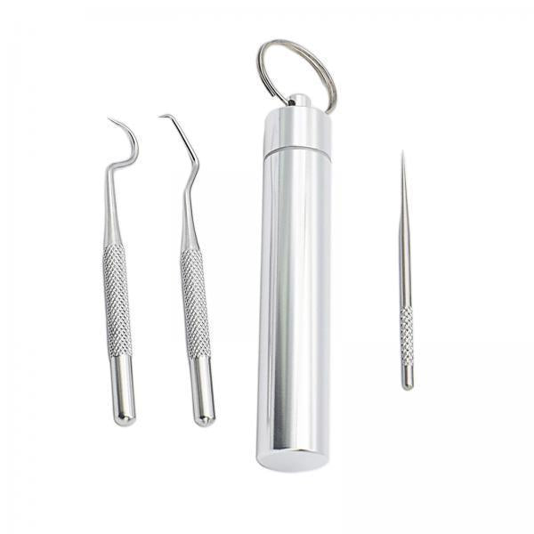 4xPortable Stainless Steel Toothpick Kit Traveling with Holder 3Pcs Large Kit