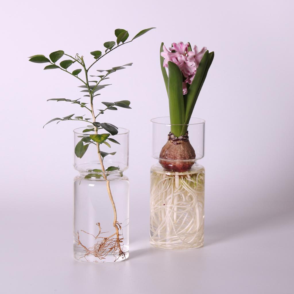 4 pieces Clear Glass Hydroponic Vase Flower Plant Pot Terrarium Container