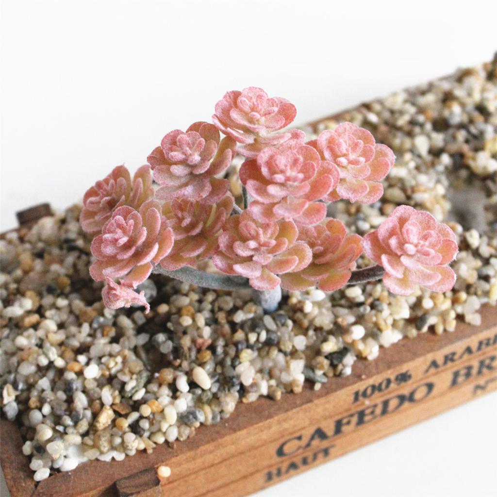 Artificial Succulent Plant Cactus #10 Light #11 Red