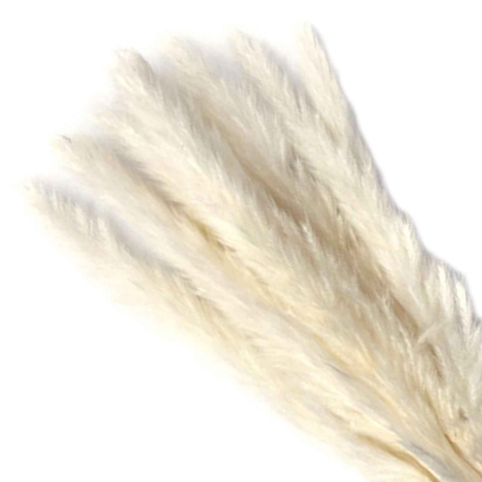 Dried Pampas Grass Bunch Bouquet Phragmites Reed Flower White 15Pcs