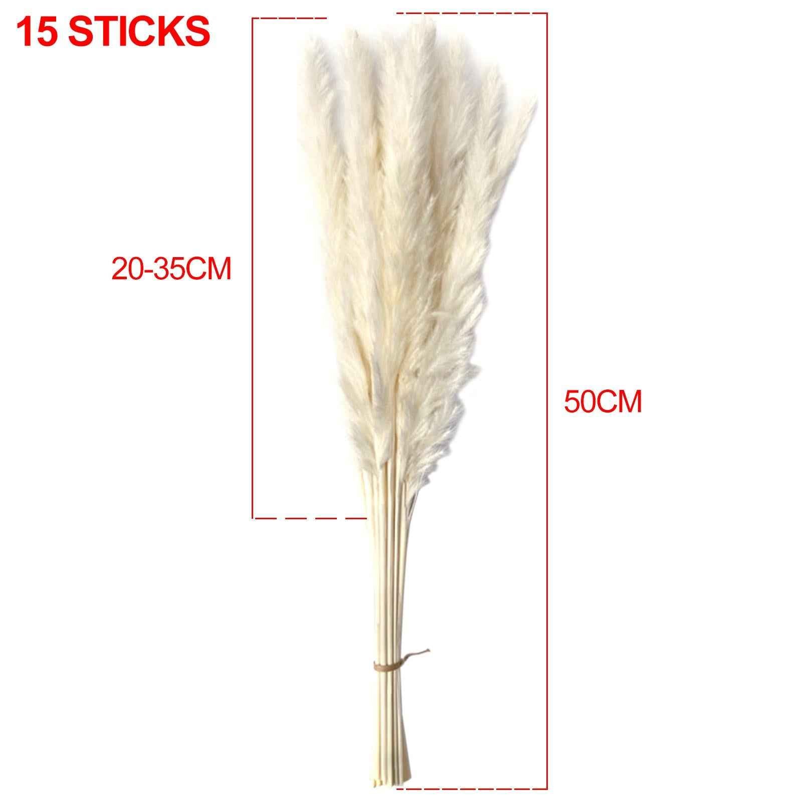 Dried Pampas Grass Bunch Bouquet Phragmites Reed Flower White 15Pcs
