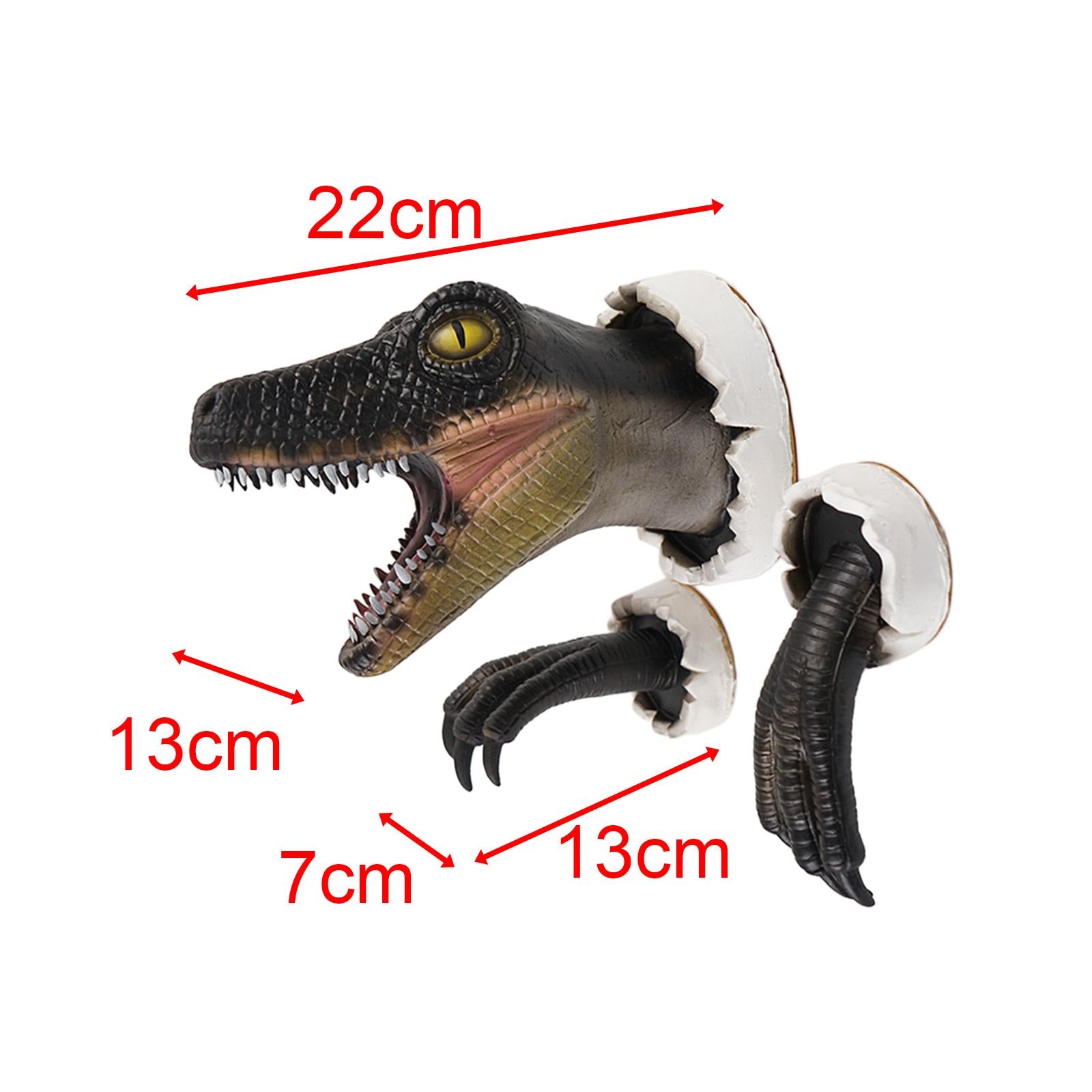Dinosaur Wall Sculpture with Claws Animals Head Wall Decor Dinosaur Ornament