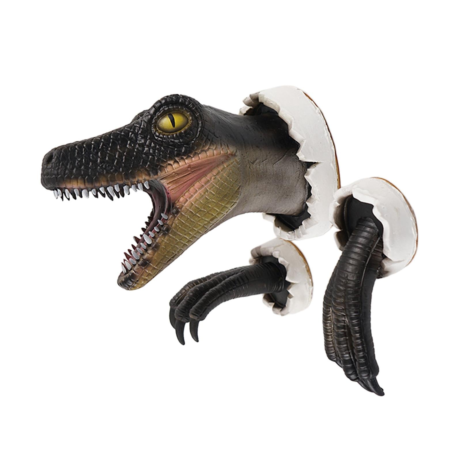 Dinosaur Wall Sculpture with Claws Animals Head Wall Decor Dinosaur Ornament