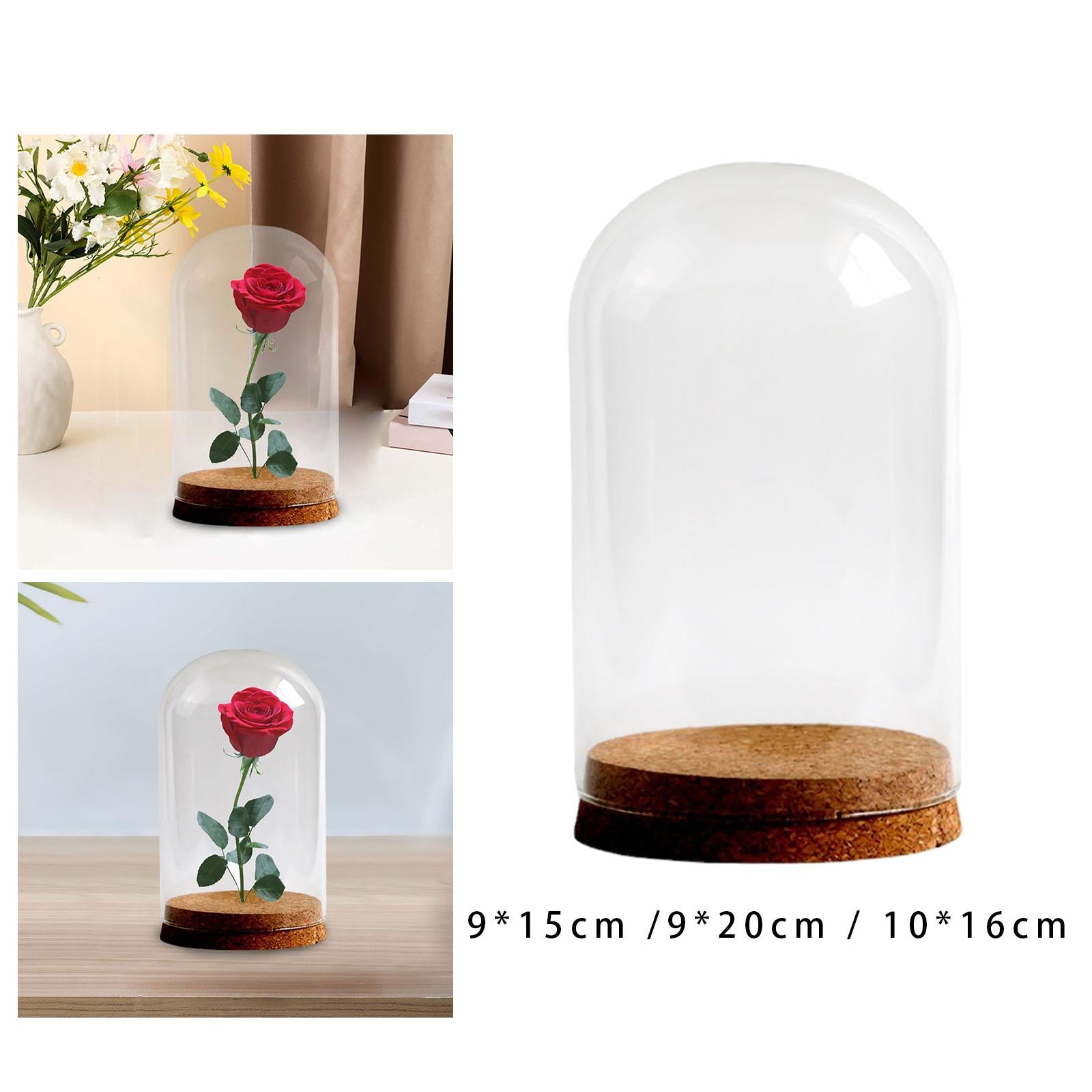 Preserved Flower Glass Cover Glass Dome Cover for Weddings Study Room Office 9cmx15cm