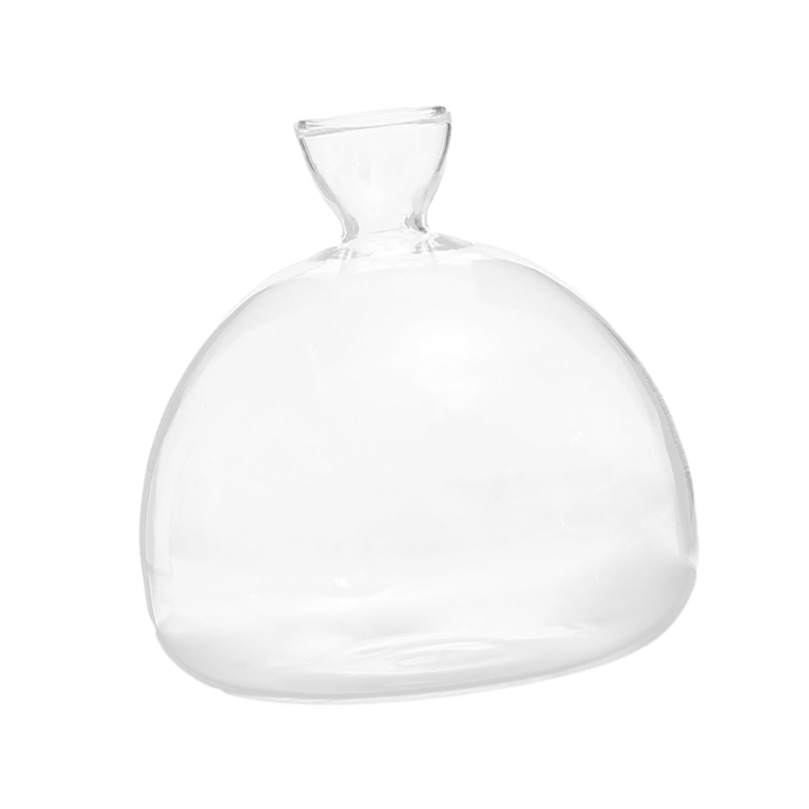 Avocado Seed Starter Vase Avocado Bottle for Growing Kit for Birthday Families