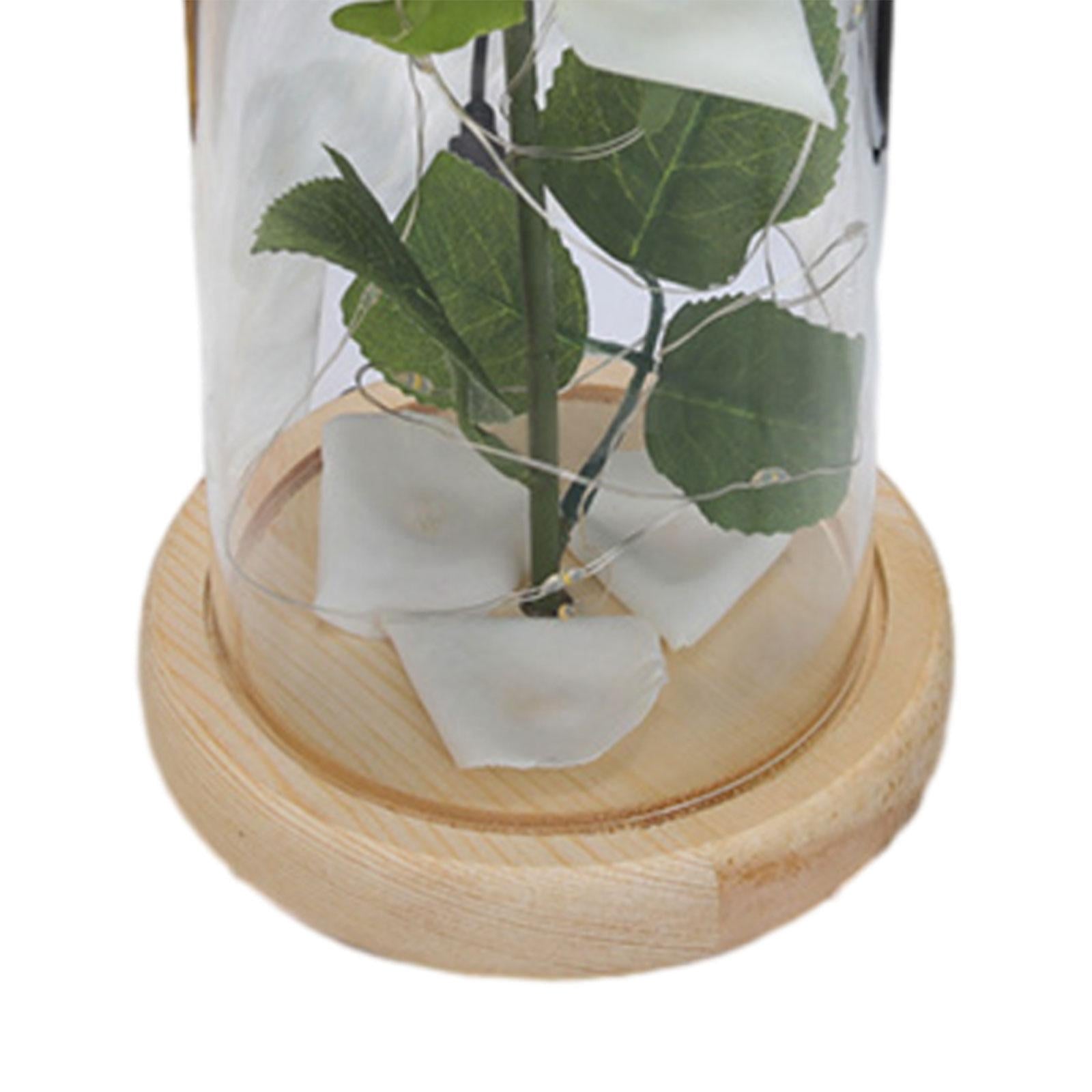Glass Rose Flower Gift Valentines Day Gifts for Mom Valentines Decor Forever Style D