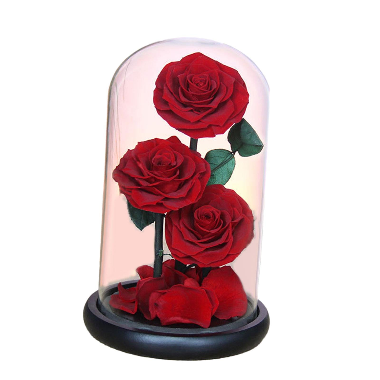 Rose Eternal in Glass Dome Valentines Day Decor Valentines Day Gifts for Men Style D