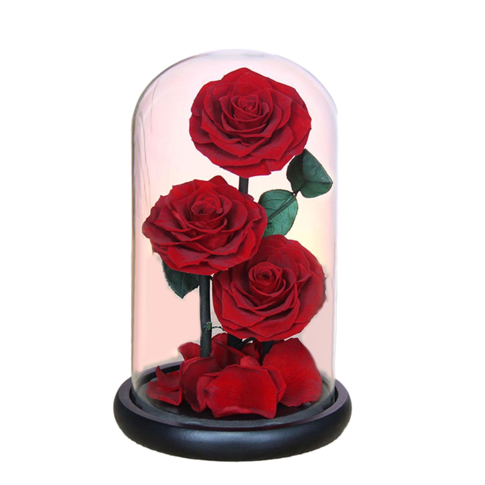 Rose Eternal in Glass Dome Valentines Day Decor Valentines Day Gifts for Men Style D