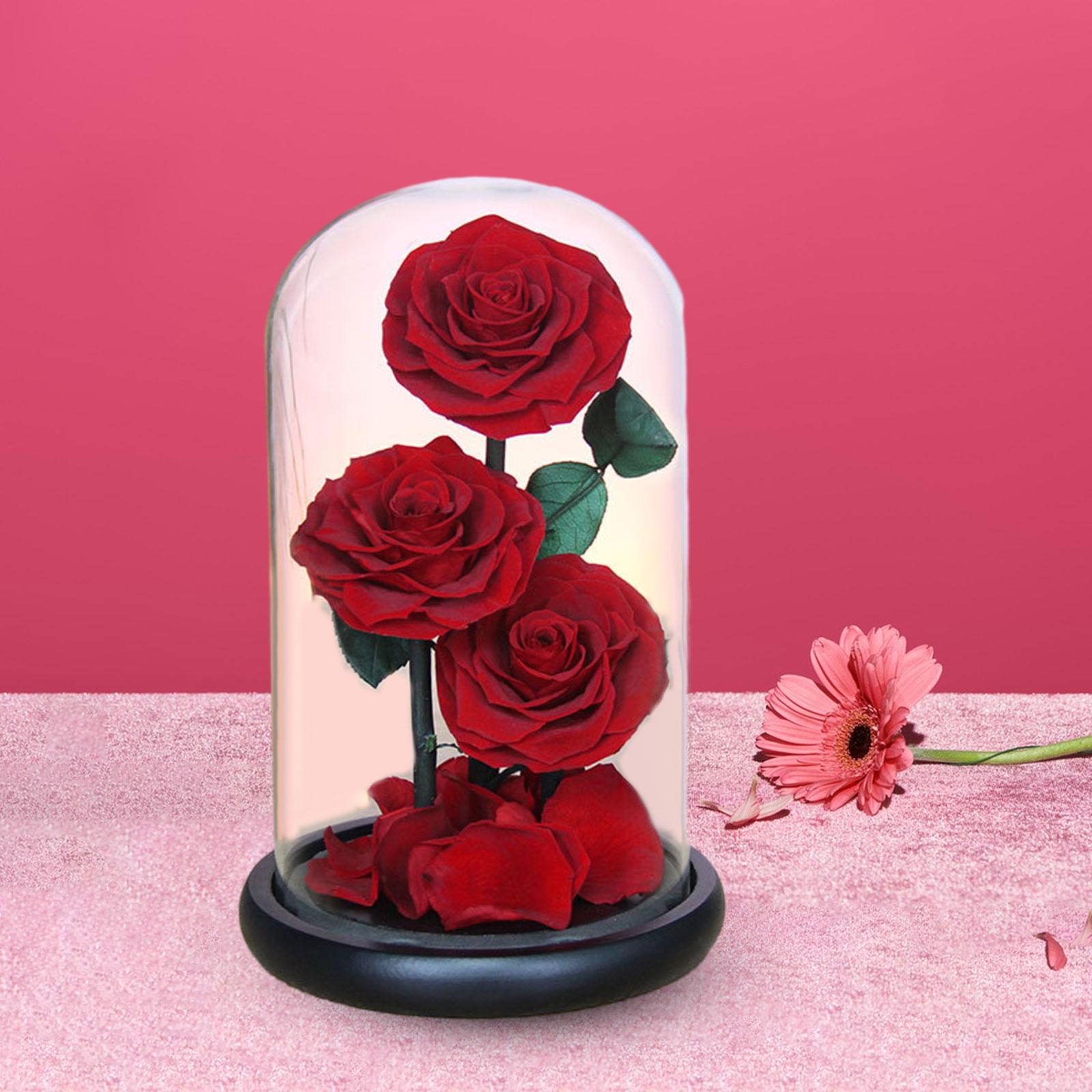 Rose Eternal in Glass Dome Valentines Day Decor Valentines Day Gifts for Men Style D