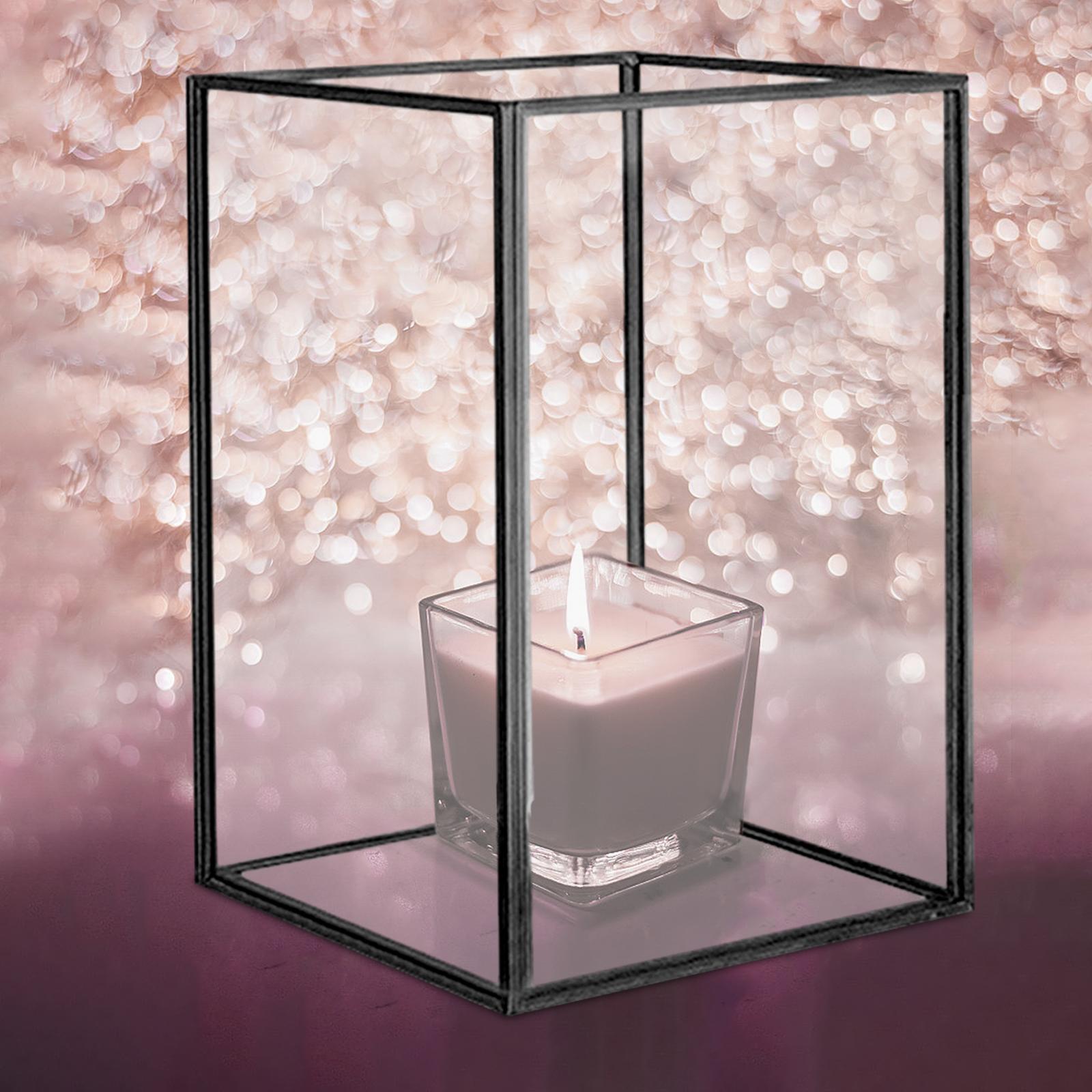 Collectibles Display Case for Home Storage Display Action Figures Model Doll Black