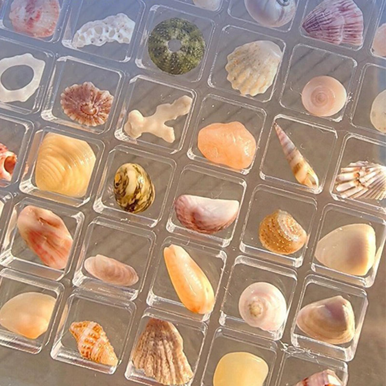 Acrylic Seashell Display Box Clear Small Craft Organizers Container for Nail