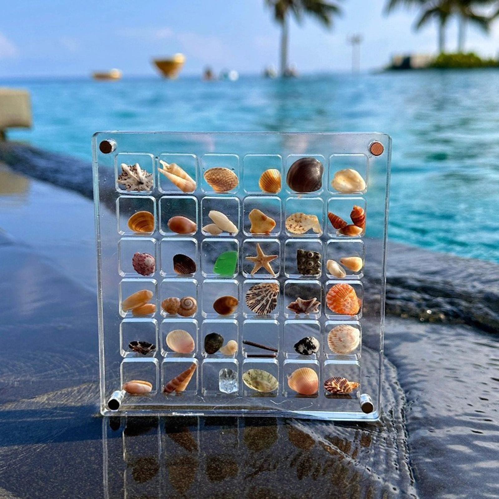 Acrylic Seashell Display Box Clear Small Craft Organizers Container for Nail