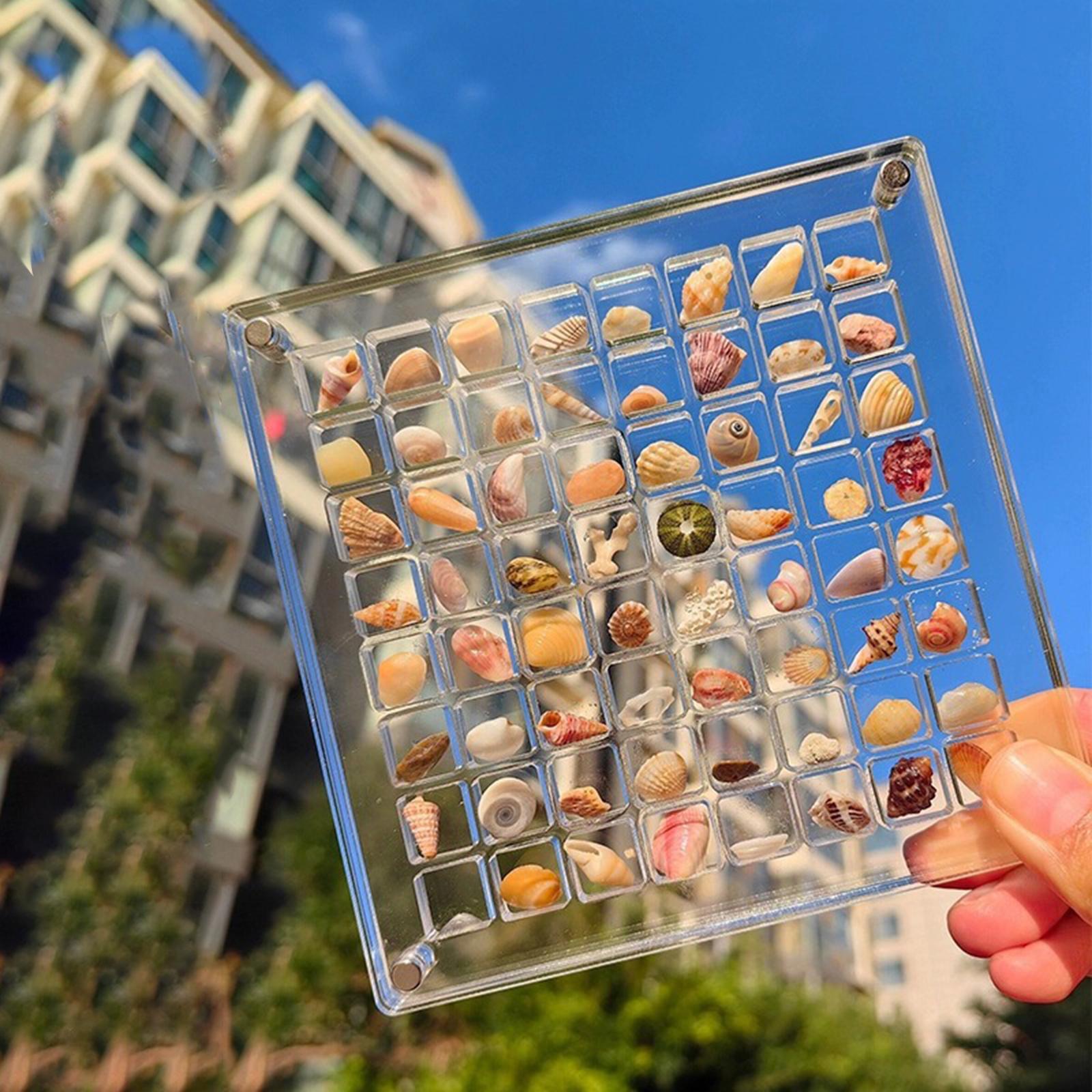 Acrylic Seashell Display Box Clear Small Craft Organizers Container for Nail
