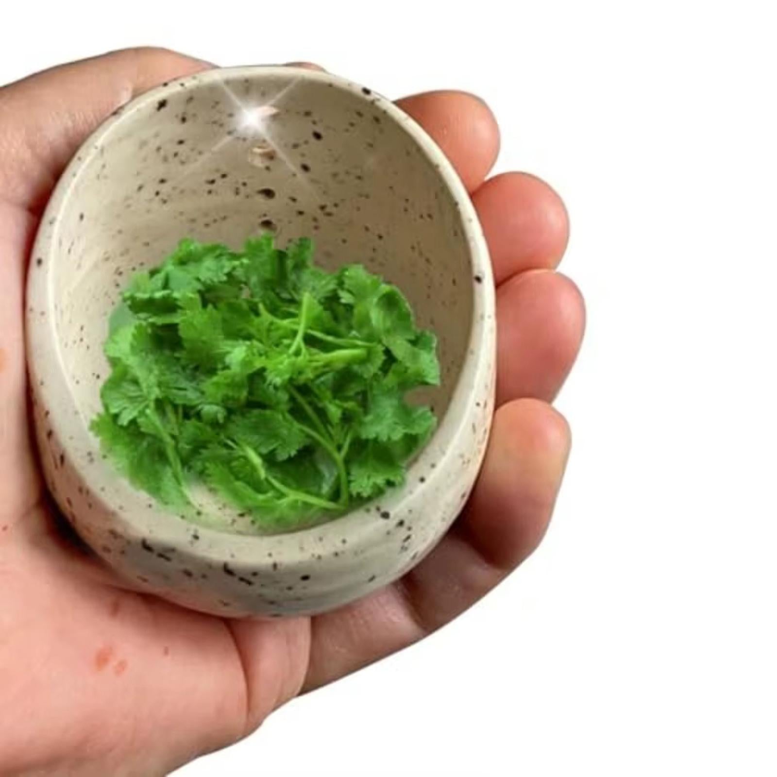 Pottery Stripper Bowl Different Round Hole Sizes Vegetable Leaf Remover Beige