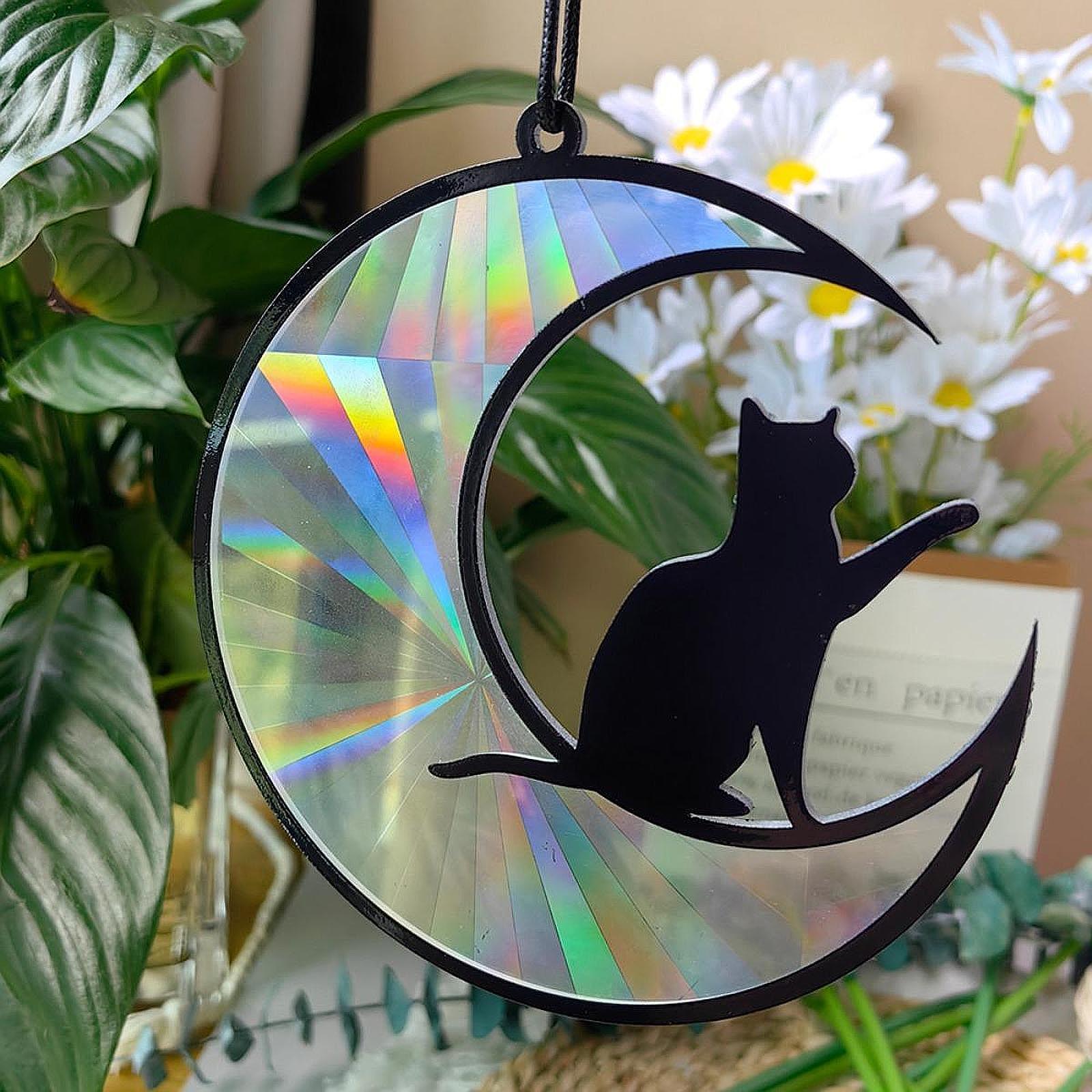 Acrylic Hanging Decoration Window Indoor Garden Easy to Hang Multifunctional Reach Hand Cat