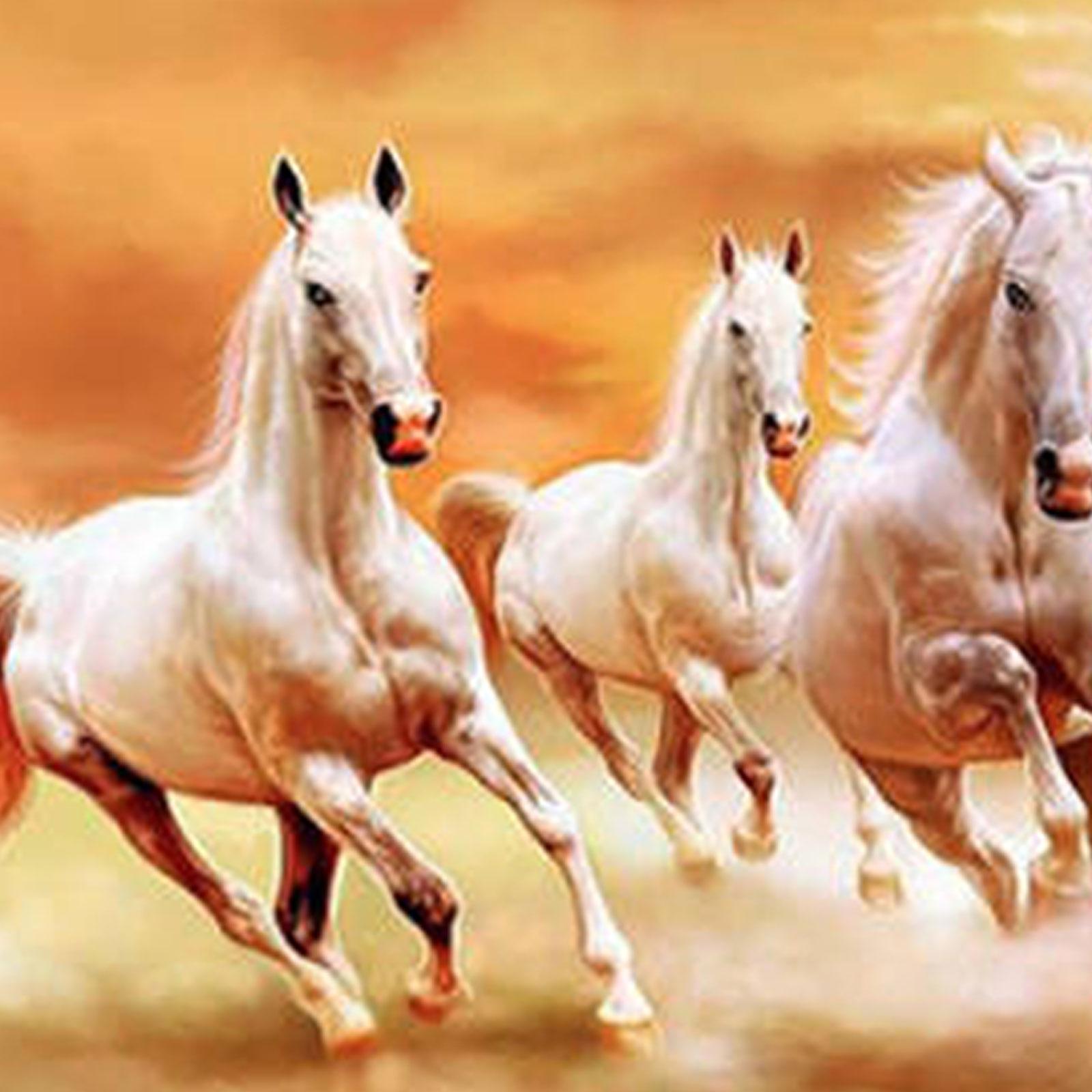 Horse Wall Art Animal Painting Gift Decorative Unframed for Hall Room Office Length 80 cm