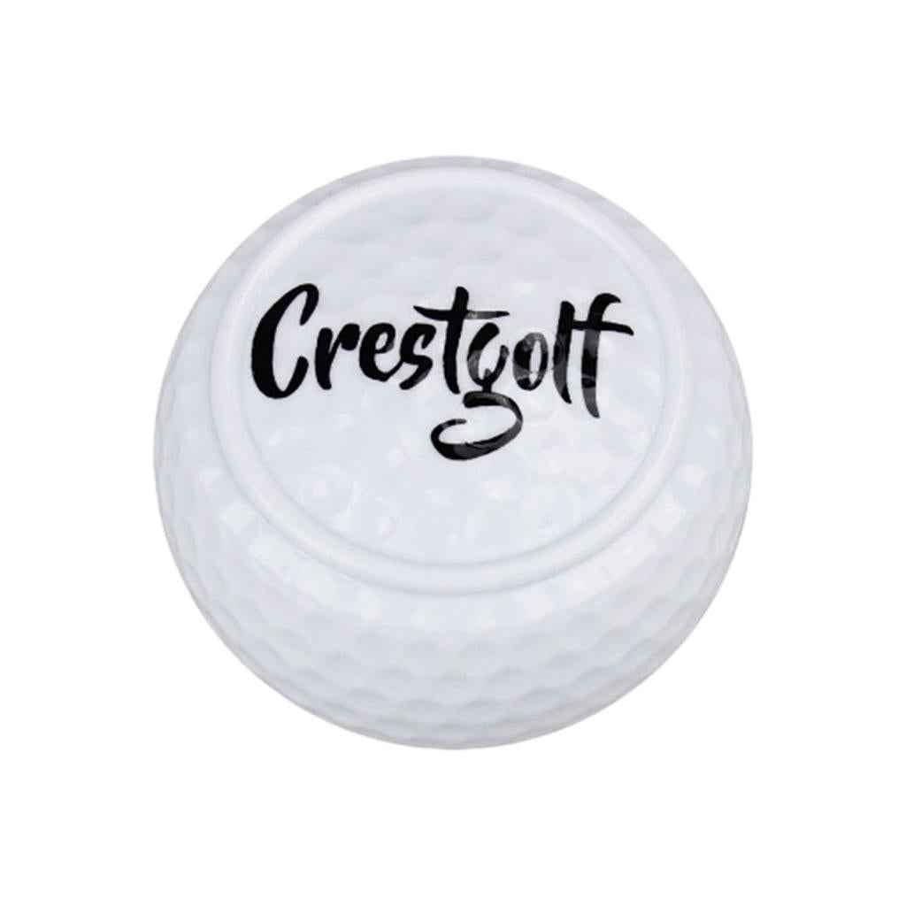 Flat Golf Ball Training Aid Alignment Improvement for Practice Green Yard