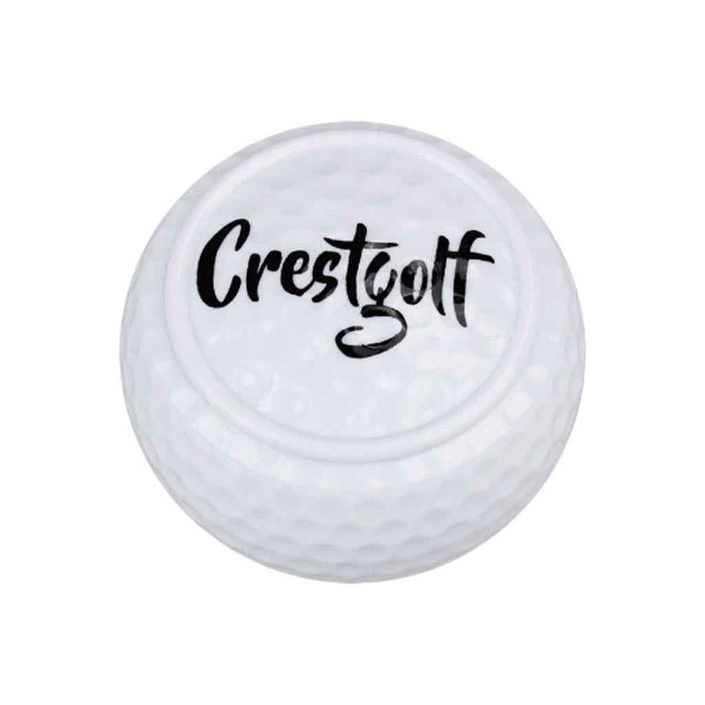 Flat Golf Ball Training Aid Alignment Improvement for Practice Green Yard