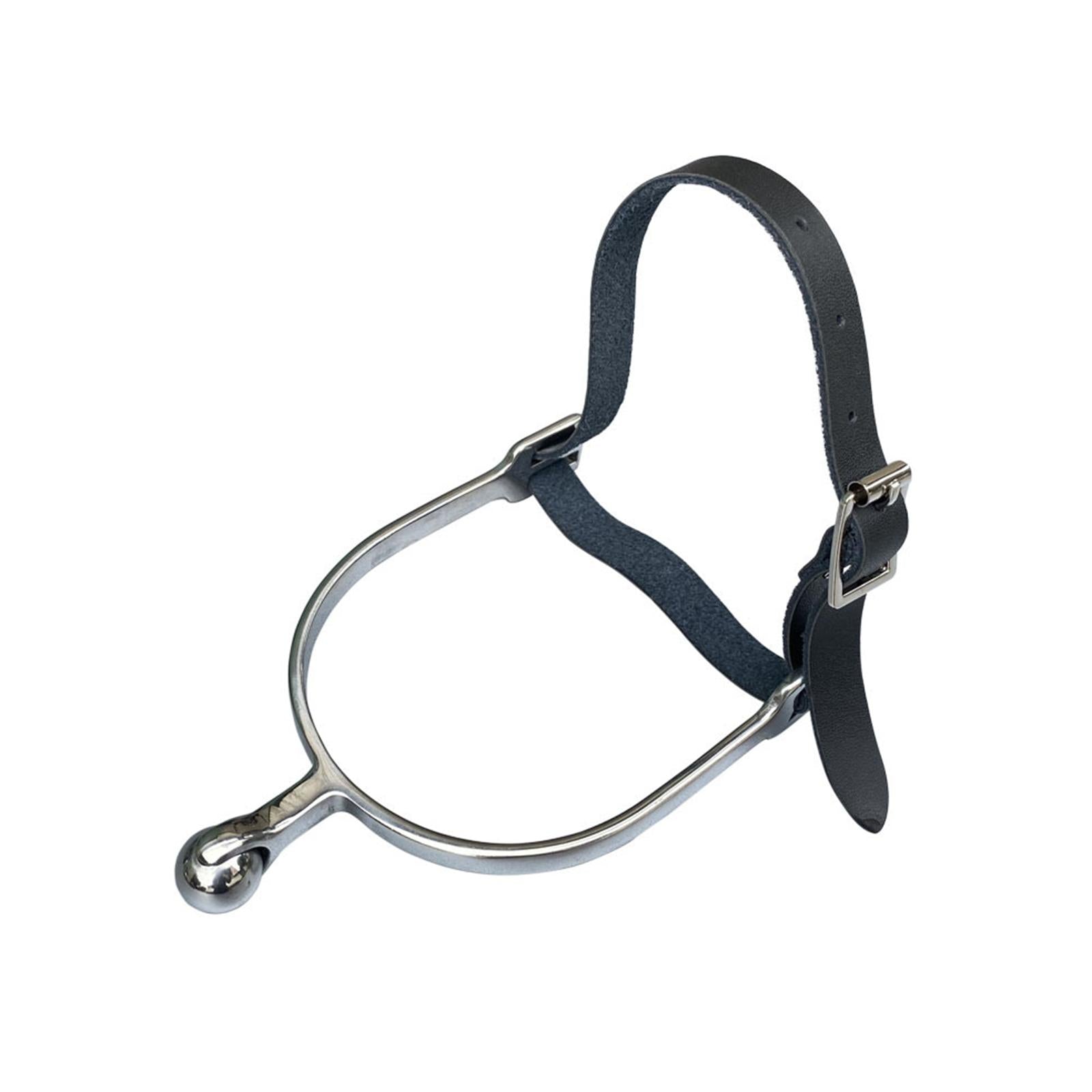 2x Spur Straps Premium with Metal Buckle for Outdoor Horse Riding Equestrian