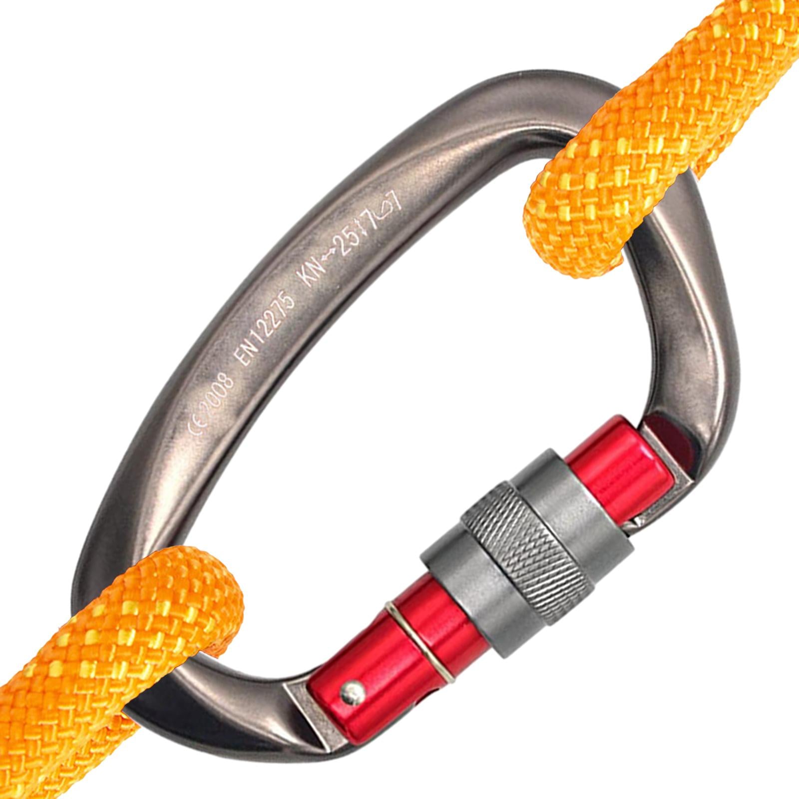 D Shaped Carabiner Buckle Small Carabiner Clip for Rappelling Caving Camping Gray