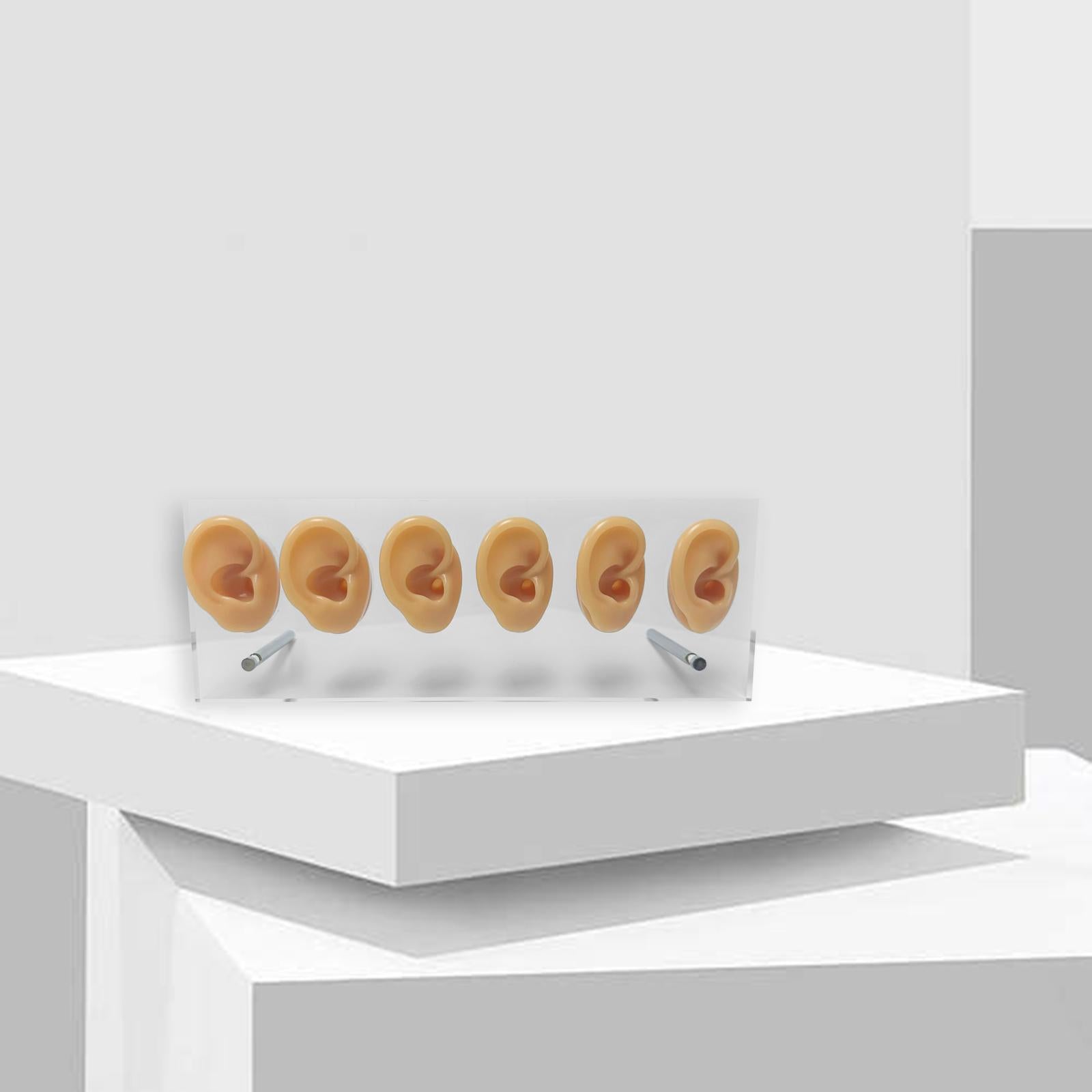 Silicone Ear Models Shelf Stable Pierce Tool for Novice Simulation Ear Model Skin Color