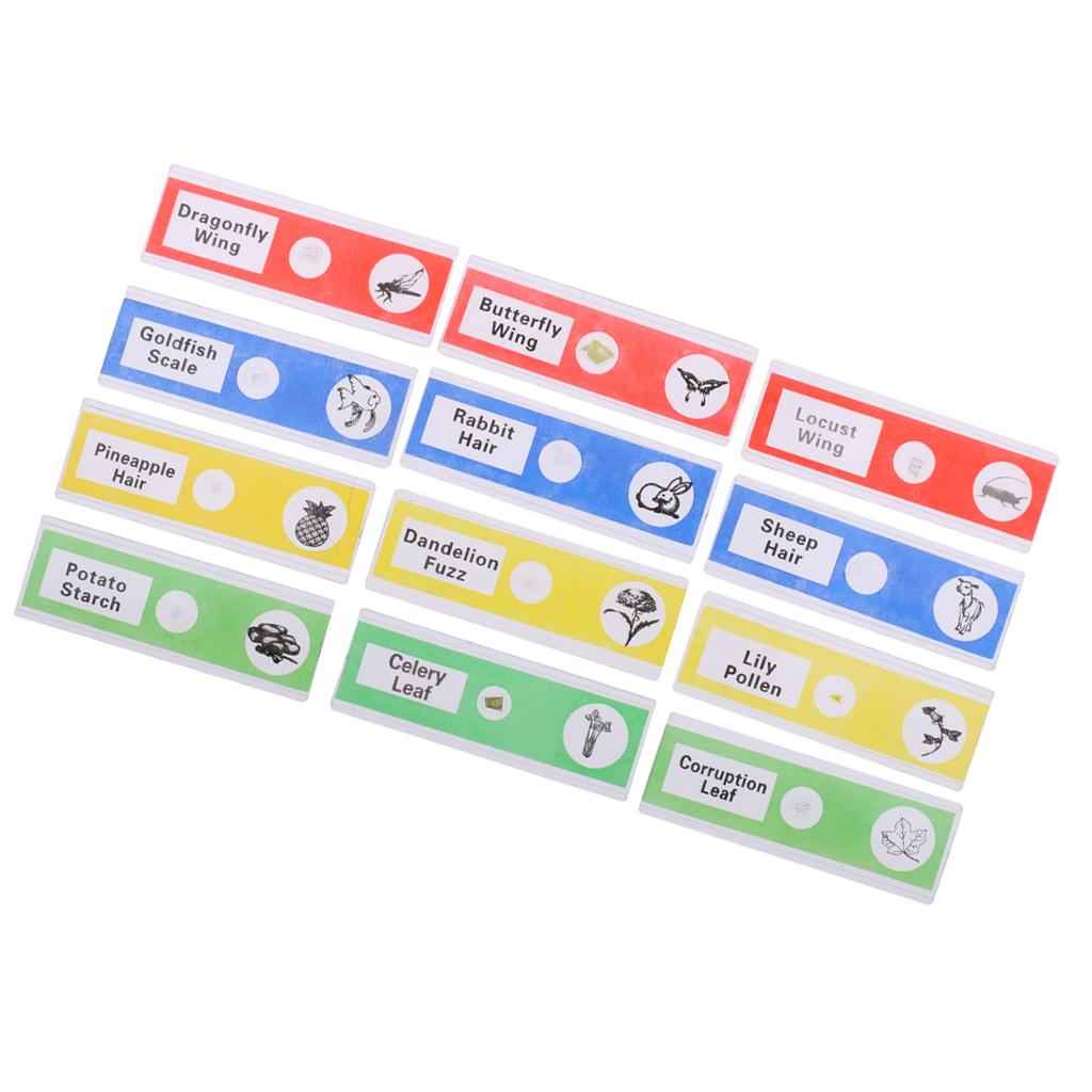 12Pcs Prepared Plastic Microscope Slides Biological Specimen with 1 Box for Children Kids School Students Enlighten Education
