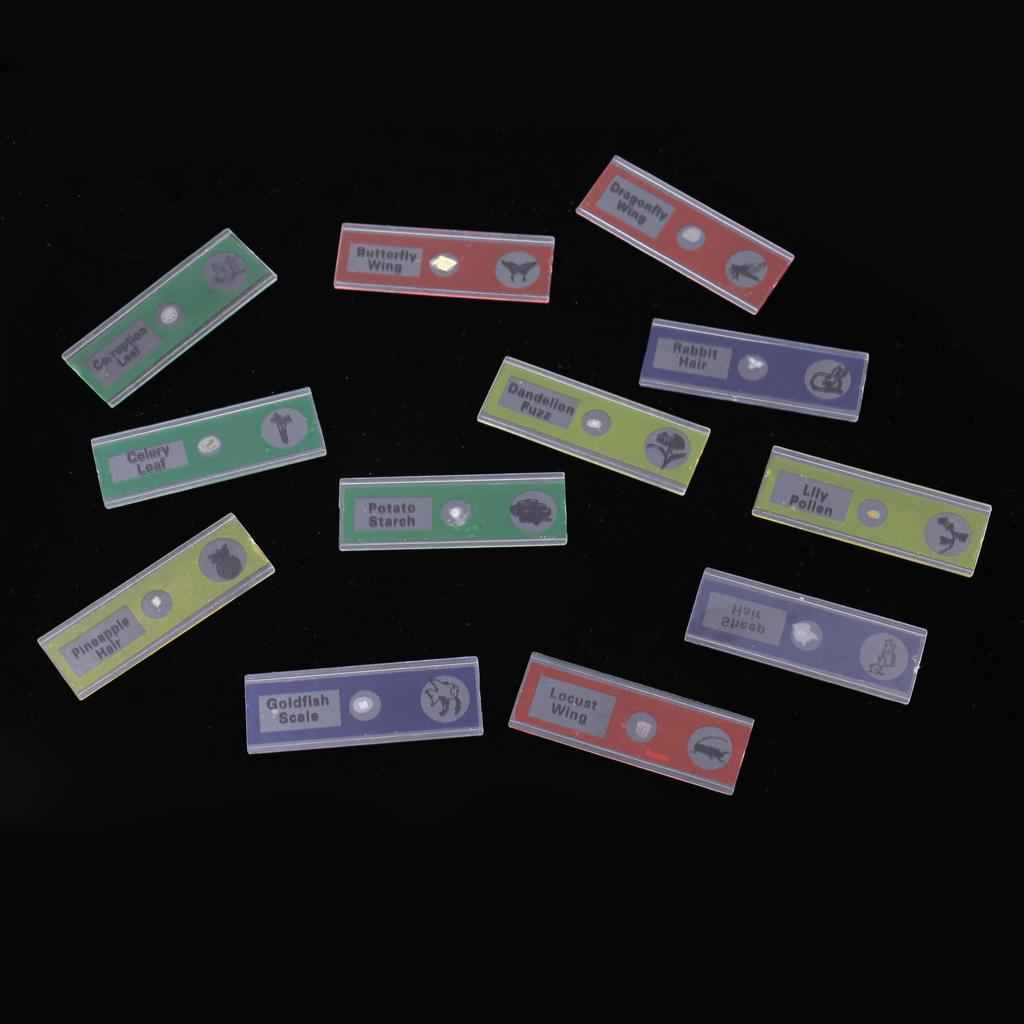 12Pcs Prepared Plastic Microscope Slides Biological Specimen with 1 Box for Children Kids School Students Enlighten Education