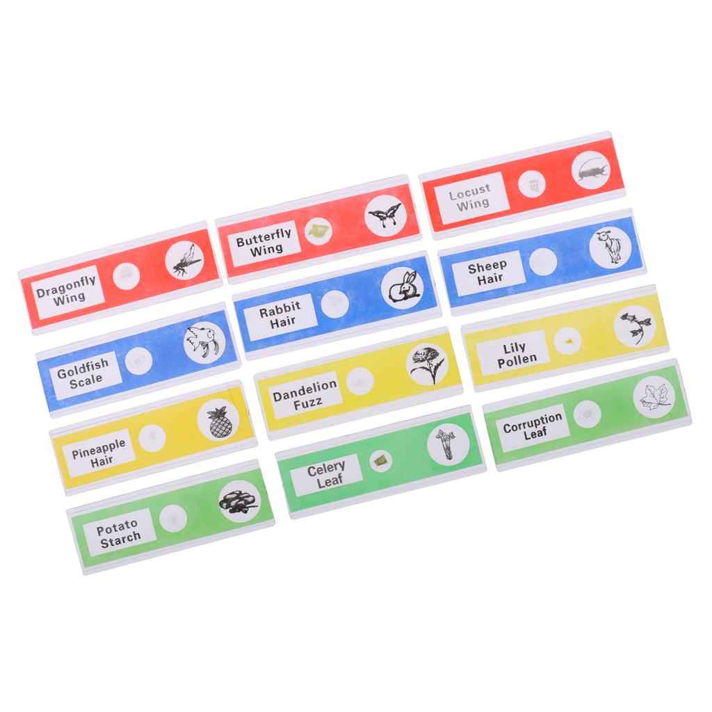 12Pcs Prepared Plastic Microscope Slides Biological Specimen with 1 Box for Children Kids School Students Enlighten Education