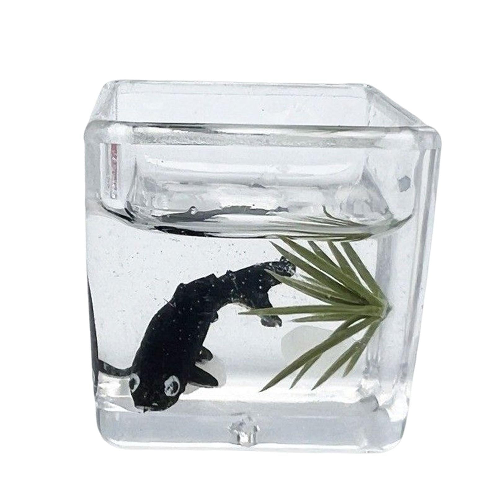 6xDoll House DIY Mini Model DIY Scene Accessories for Cabinet Decoration black