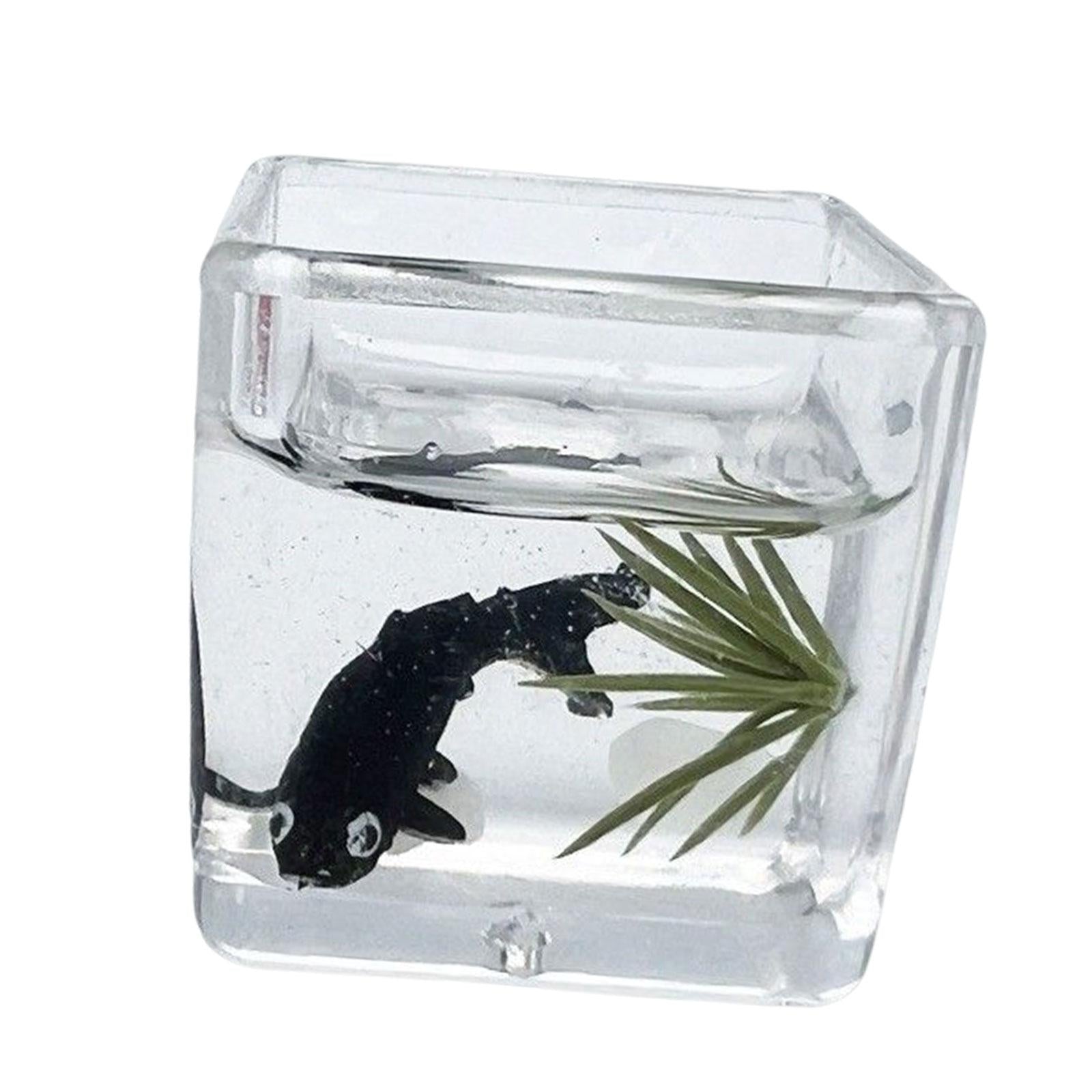 5xDoll House DIY Mini Model DIY Scene Accessories for Cabinet Decoration black