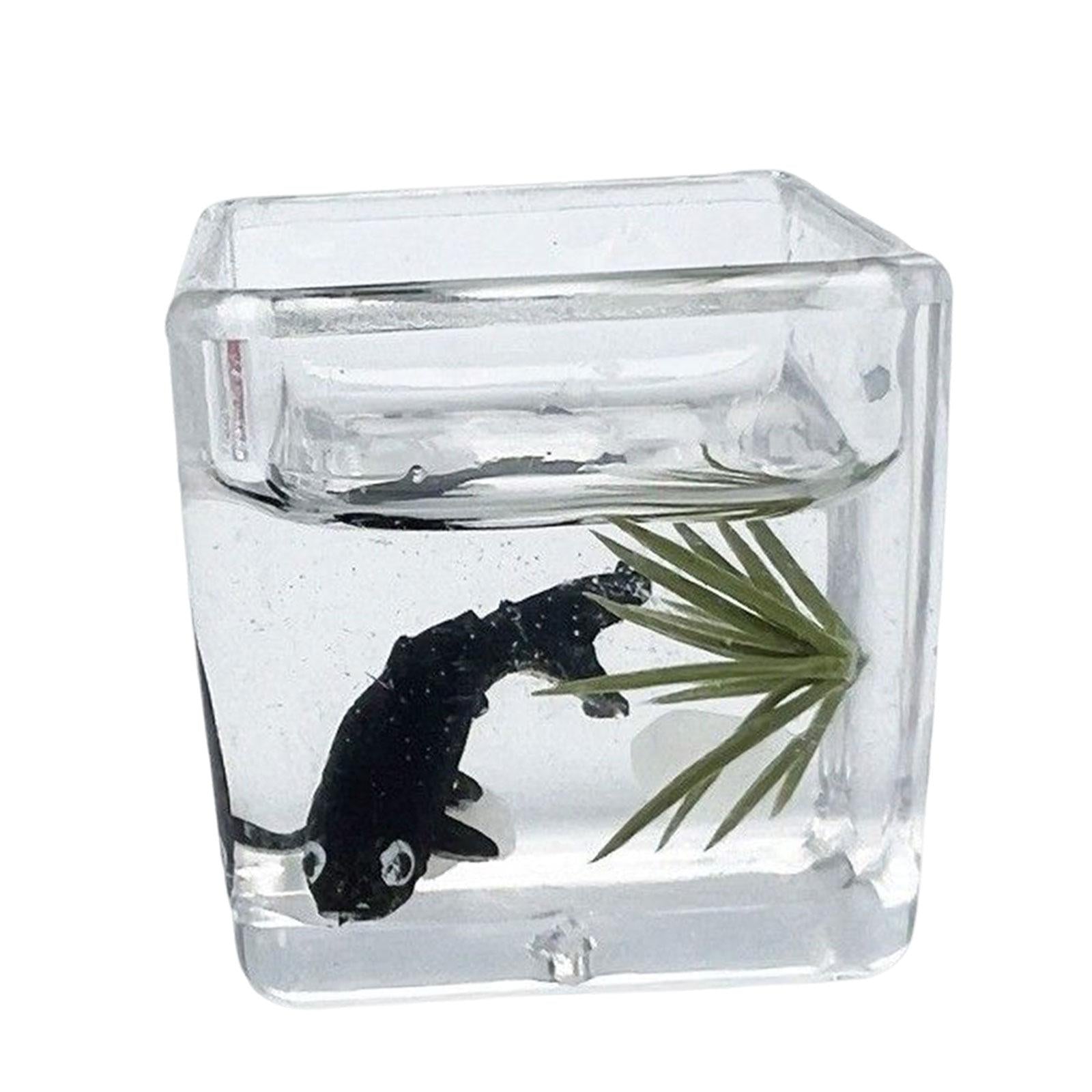 5xDoll House DIY Mini Model DIY Scene Accessories for Cabinet Decoration black