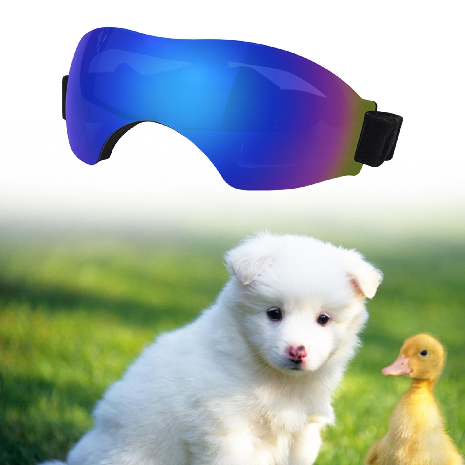 Puppy Glasses Comfortable Eye Wear Pet Glasses for Riding Car Driving Hiking Blue