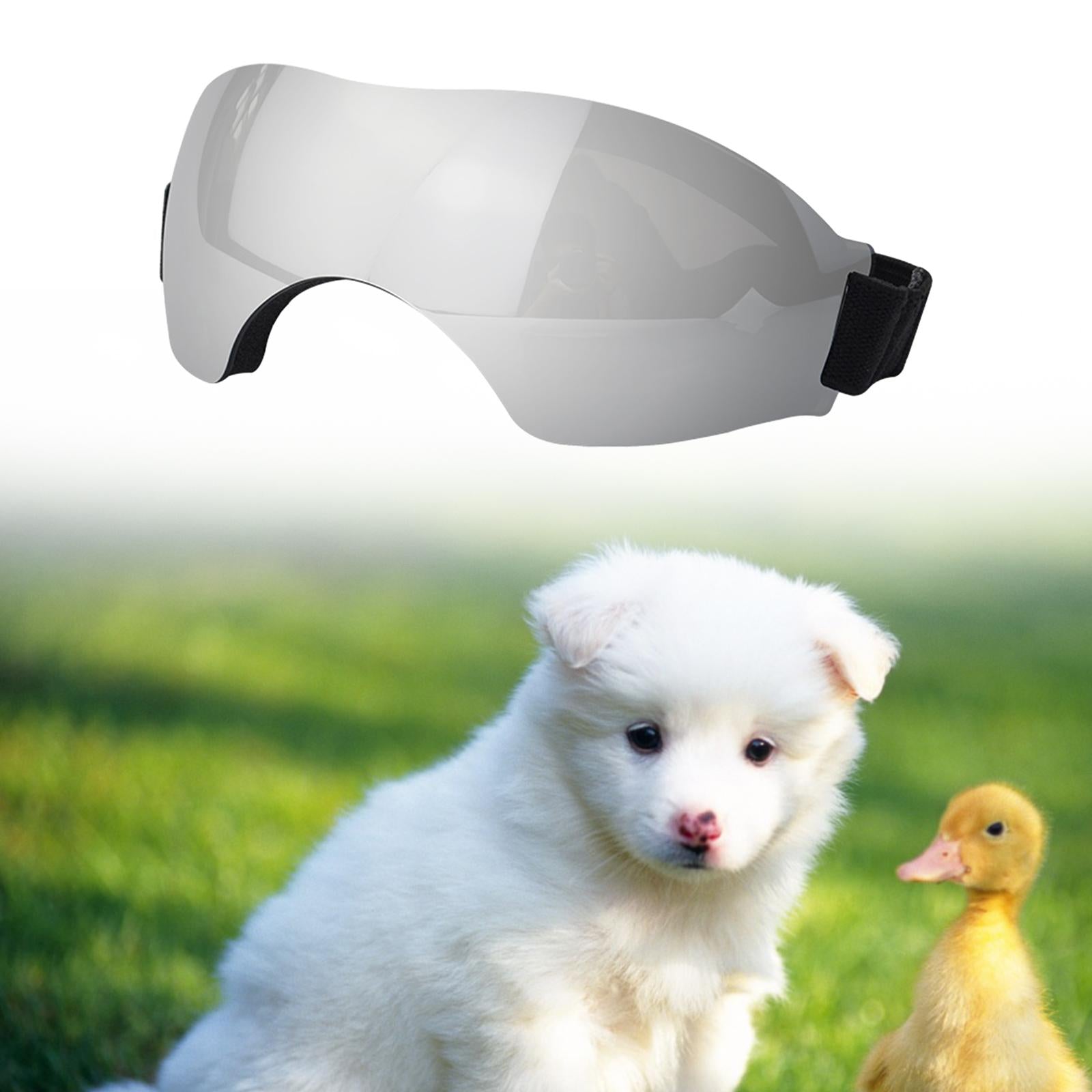 Puppy Glasses Comfortable Eye Wear Pet Glasses for Riding Car Driving Hiking Argent