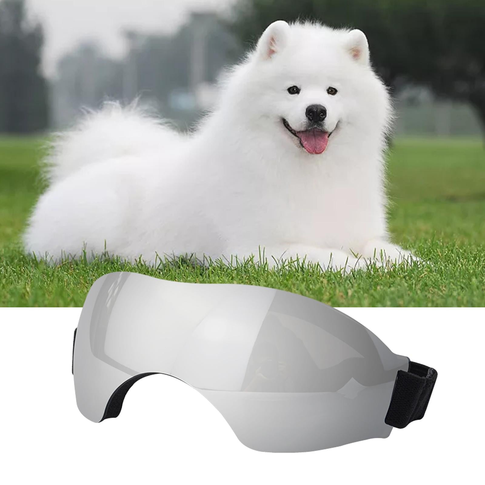 Puppy Glasses Comfortable Eye Wear Pet Glasses for Riding Car Driving Hiking Argent