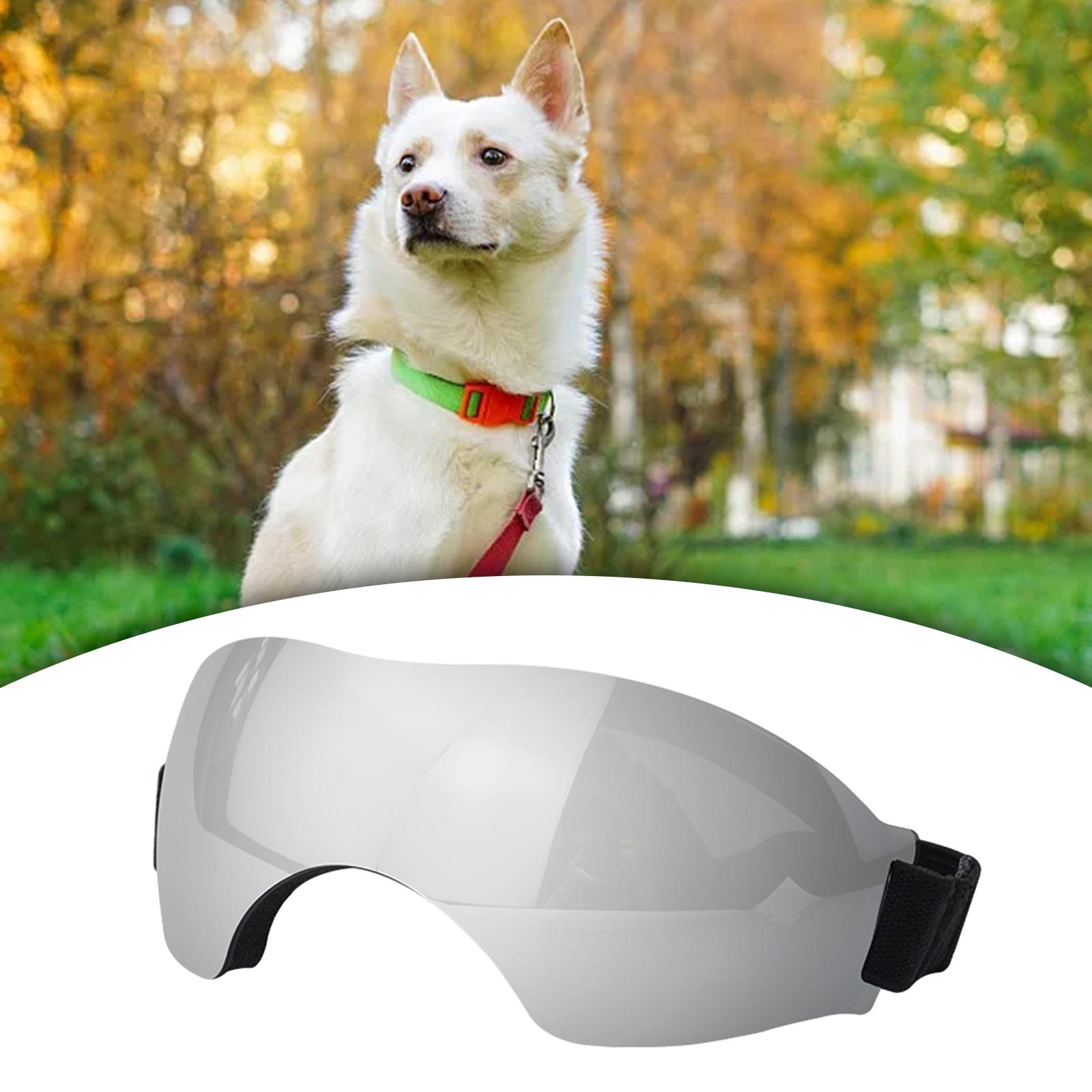 Puppy Glasses Comfortable Eye Wear Pet Glasses for Riding Car Driving Hiking Argent