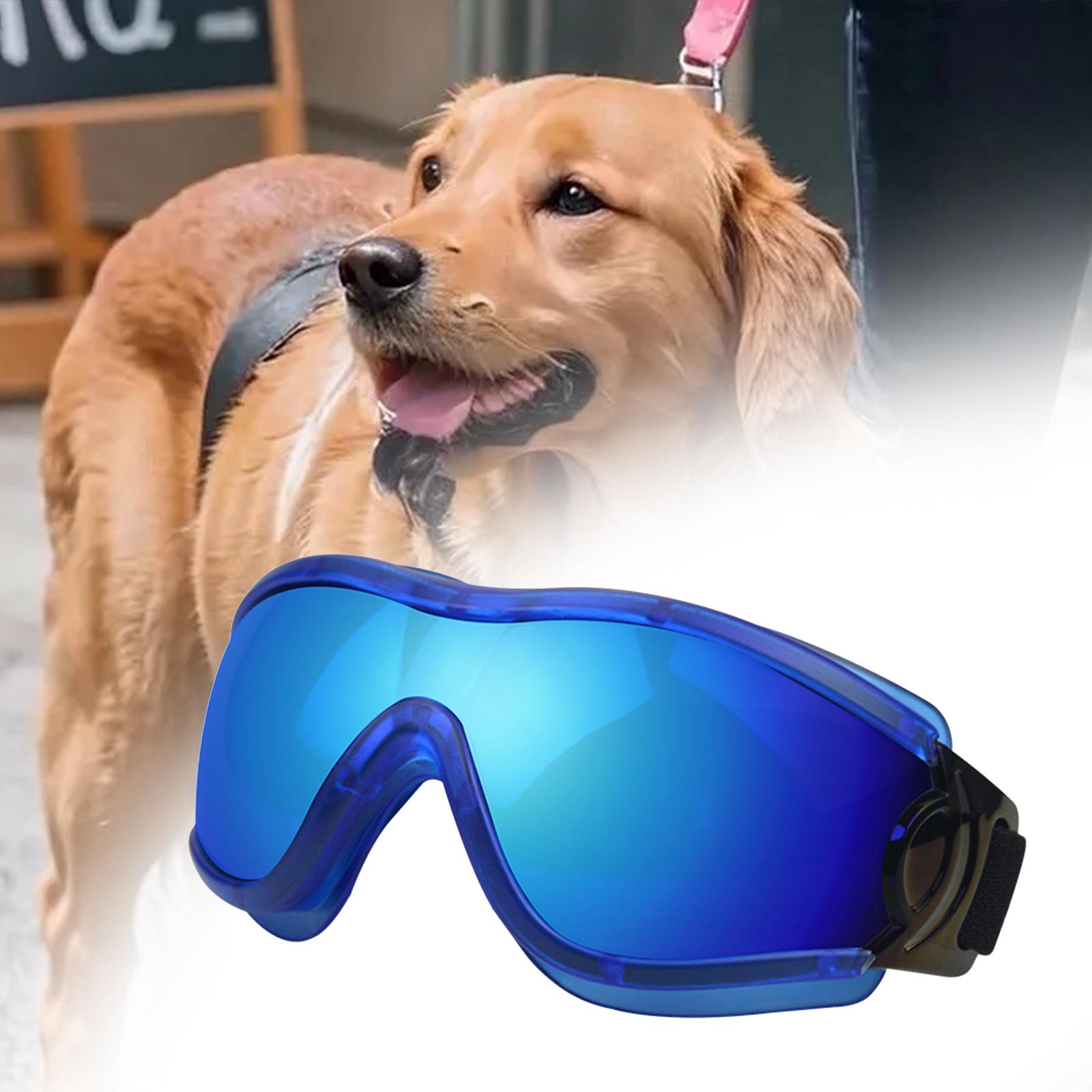 Dog Sunglasses Sun Protection for Medium Dog Windproof Dustproof Dog Goggles blue frame blue