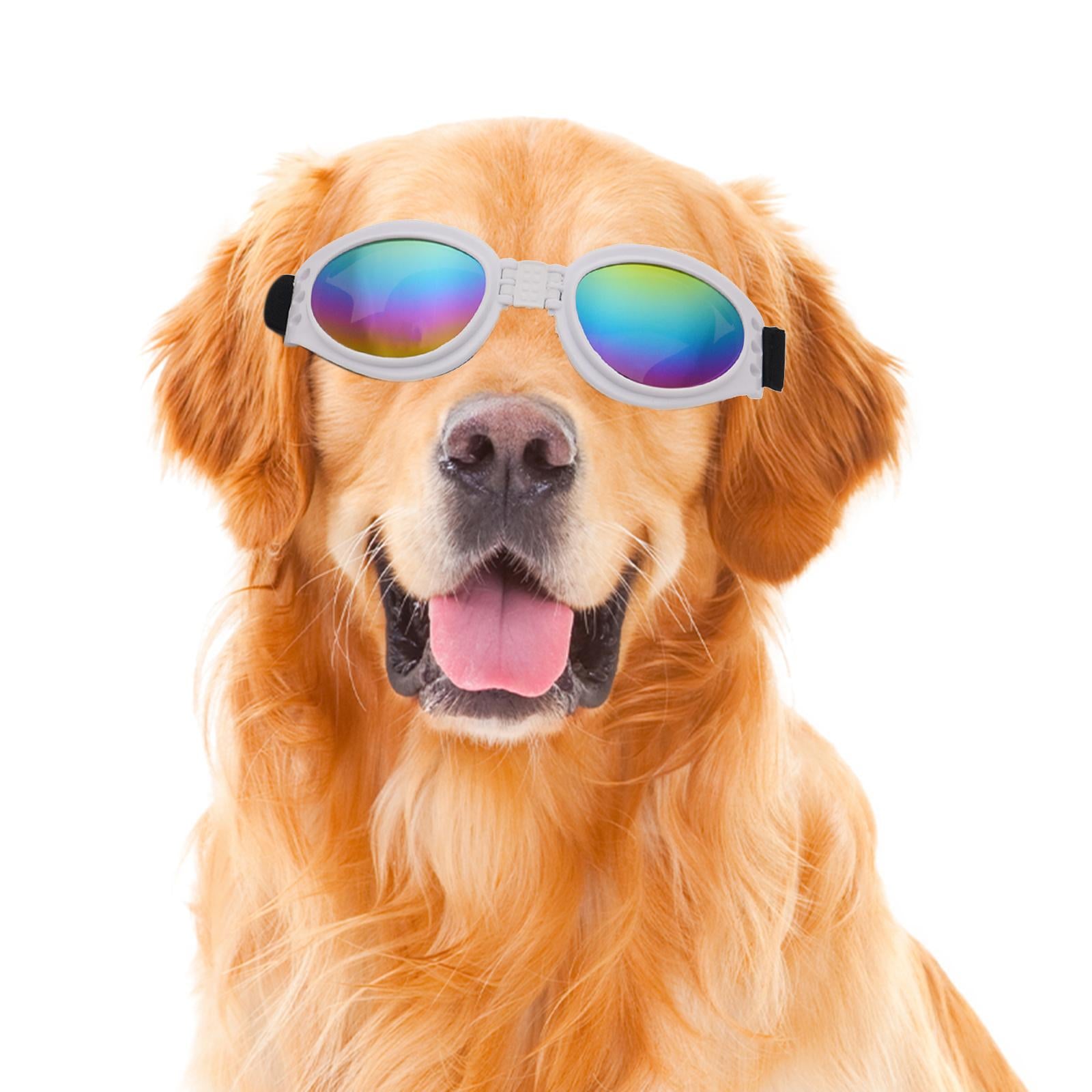 Dog Glasses Photo Props Lightweight Eyewear for Indoor Outdoor Party Walking White