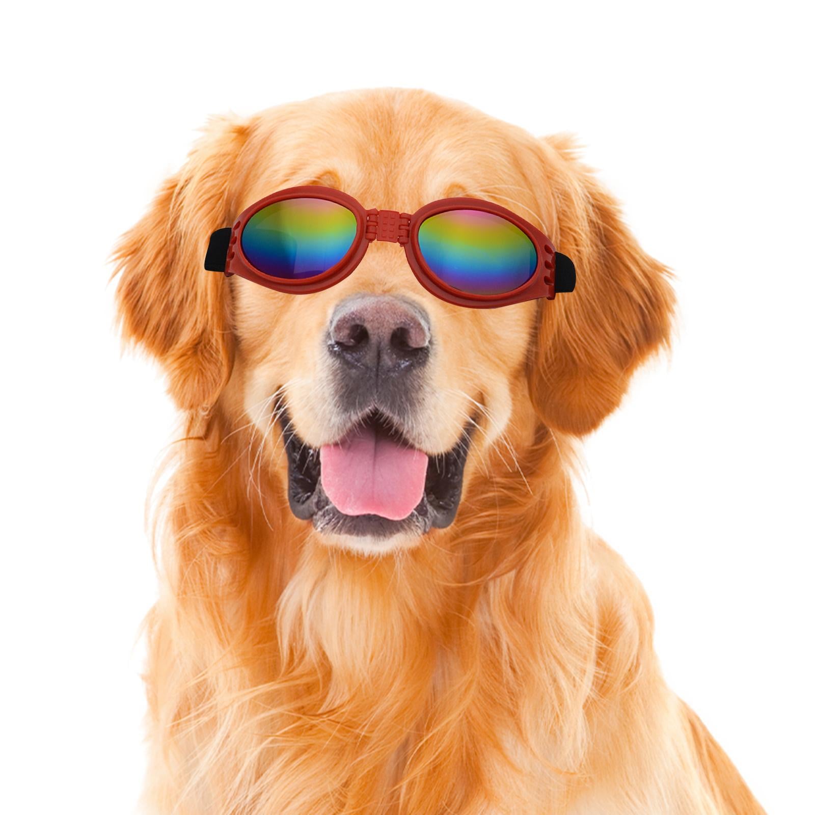 Dog Glasses Photo Props Lightweight Eyewear for Indoor Outdoor Party Walking Red