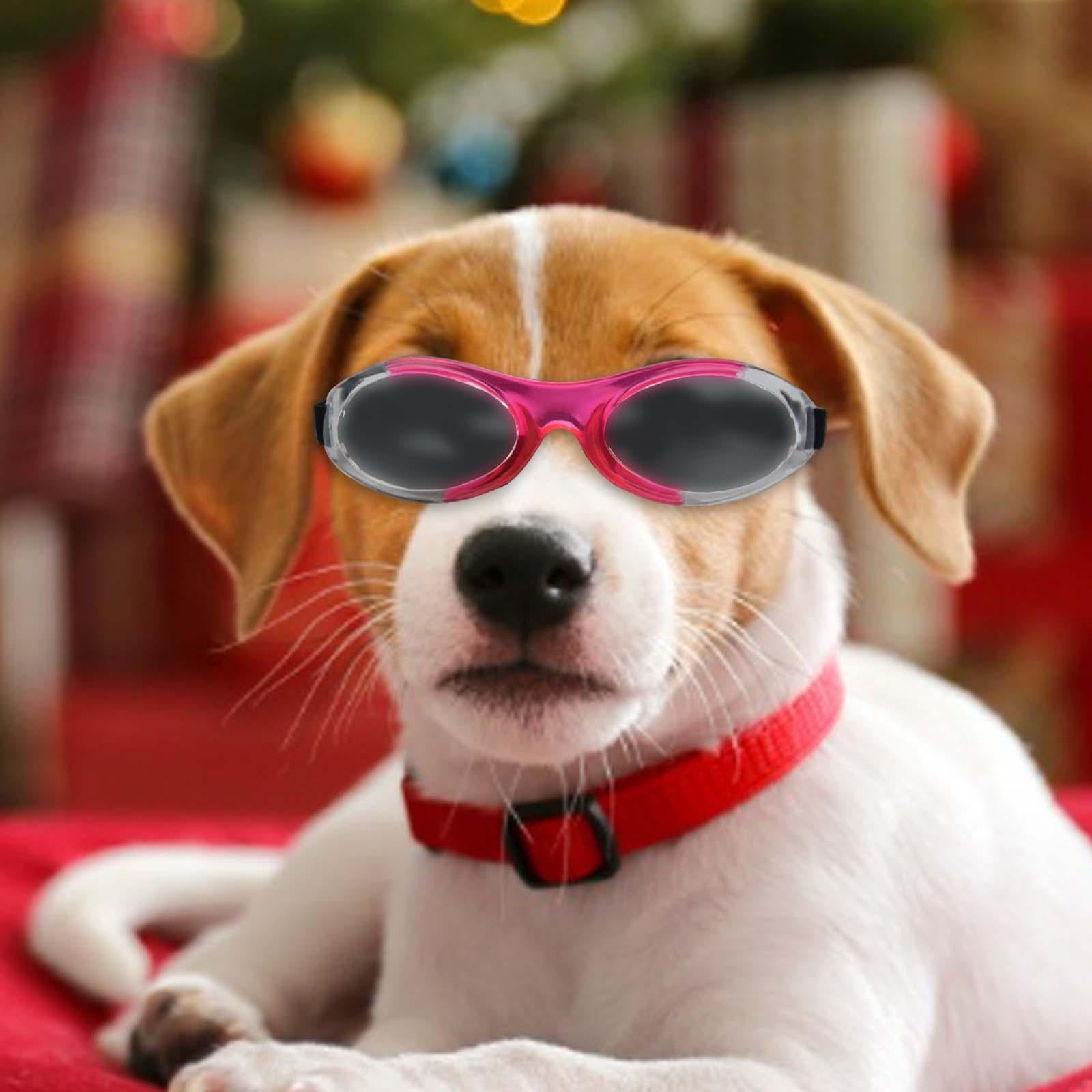 Dog Sunglasses Pet Eyewear for Sun Protection Dust Protection Eye Protection B