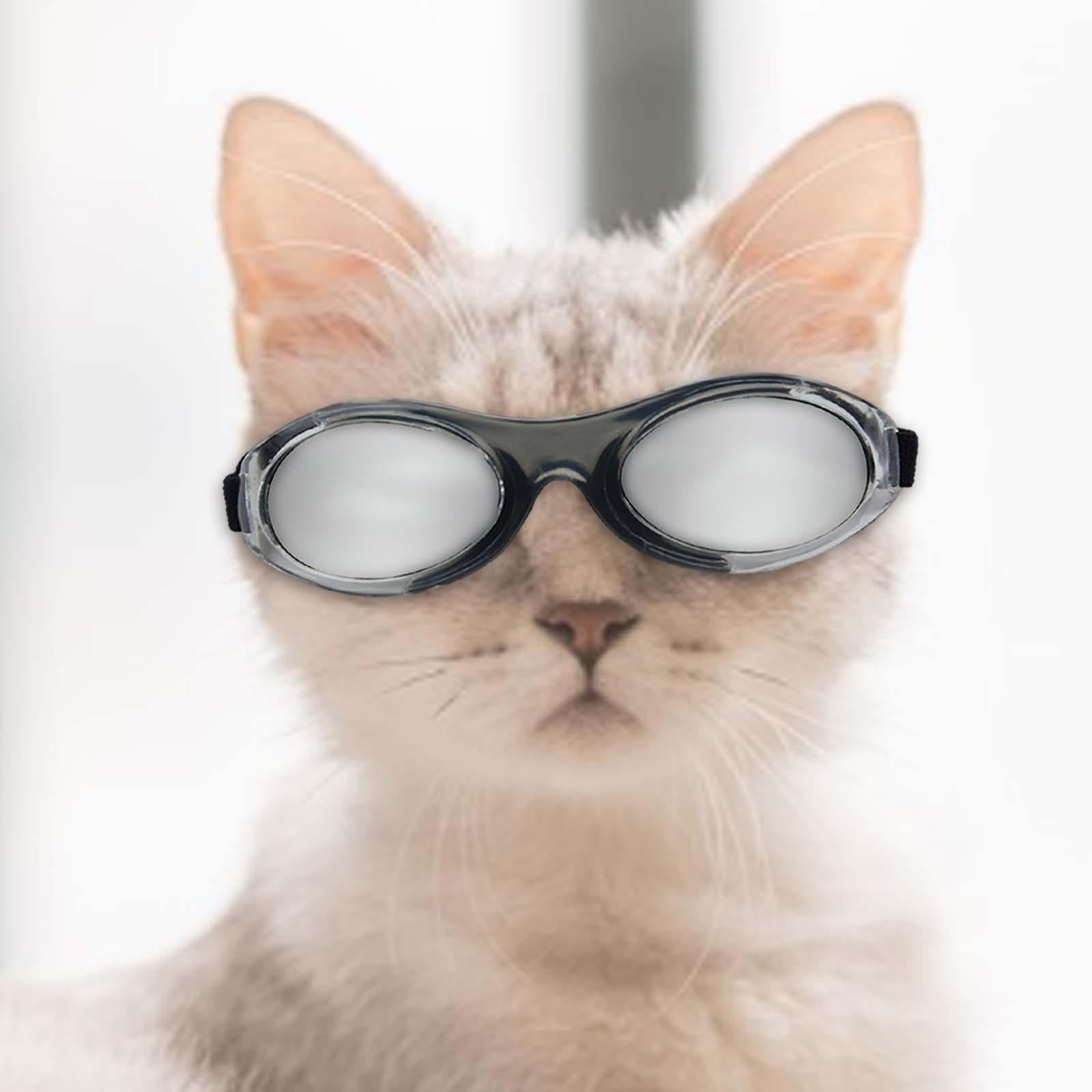 Dog Sunglasses Pet Eyewear for Sun Protection Dust Protection Eye Protection F