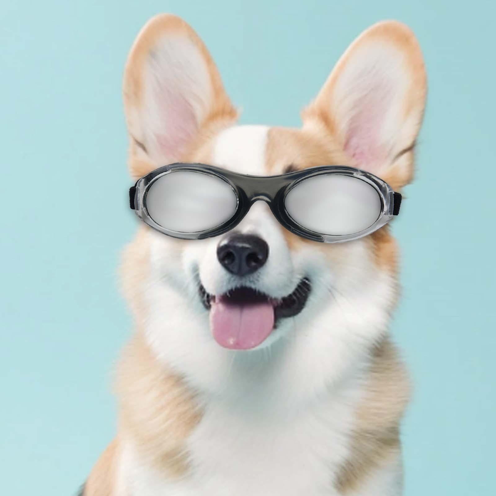 Dog Sunglasses Pet Eyewear for Sun Protection Dust Protection Eye Protection F