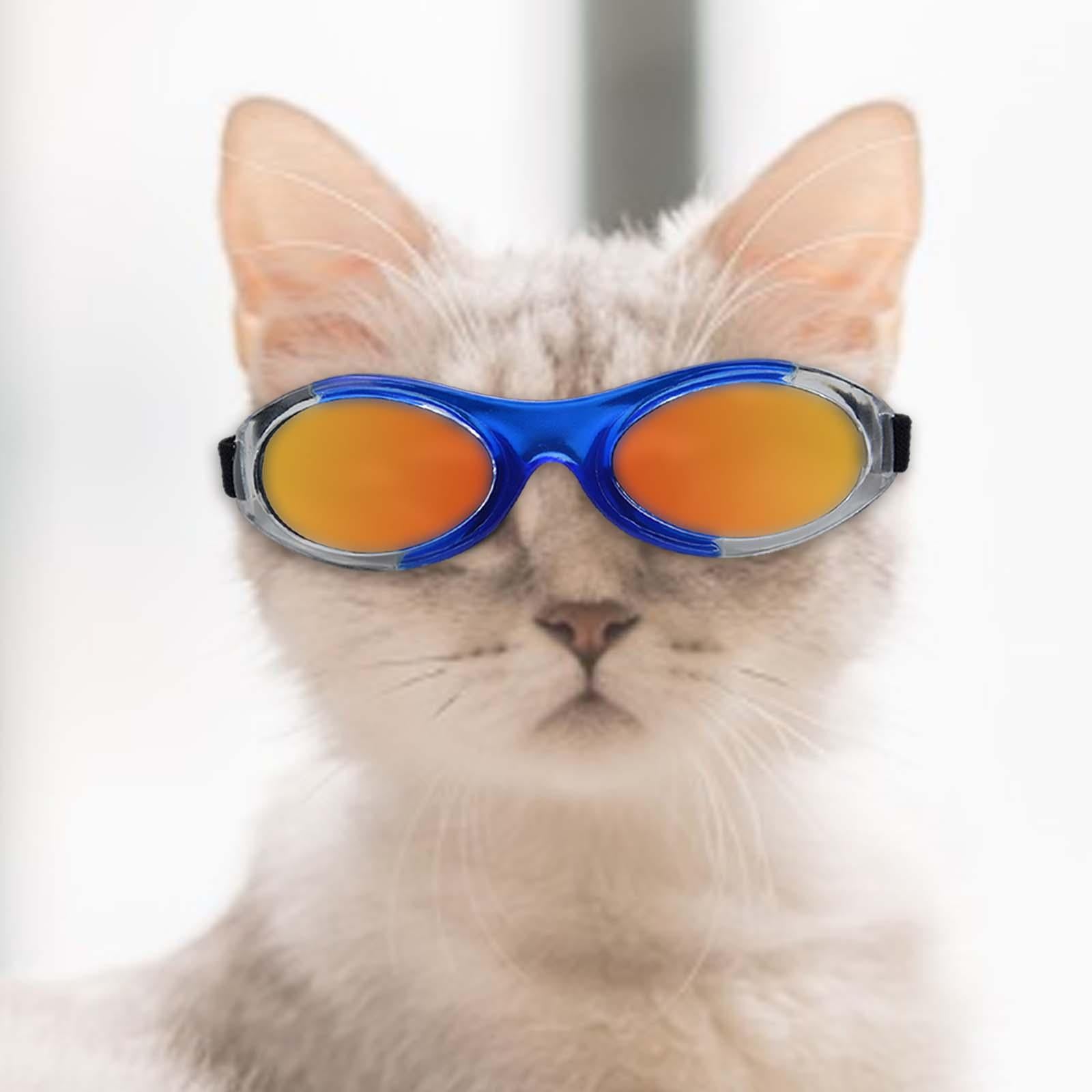Dog Sunglasses Pet Eyewear for Sun Protection Dust Protection Eye Protection G