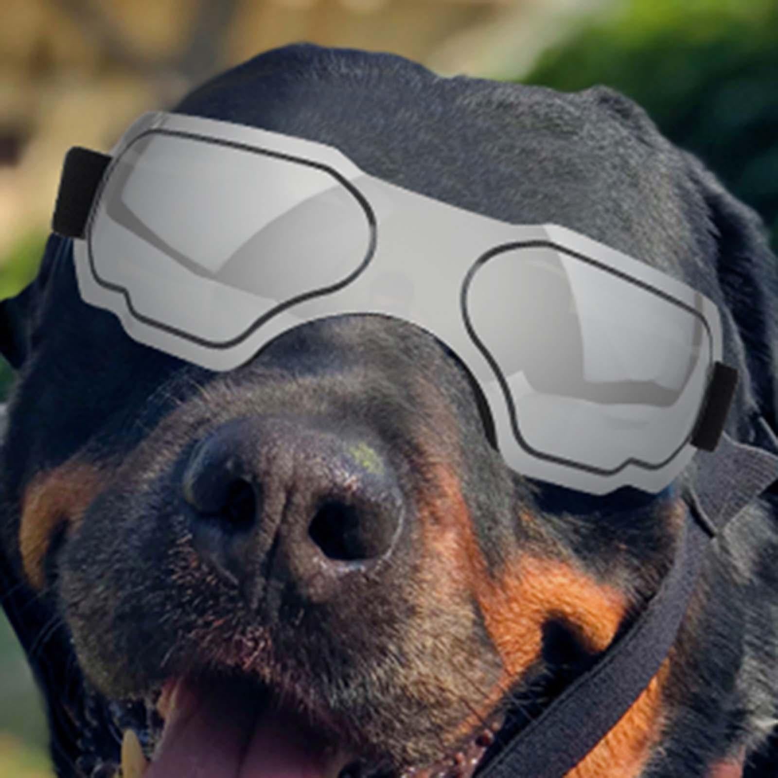 Dog Sunglasses Windproof AntiFog for Small to Medium Breed Dog Puppy Glasses silver